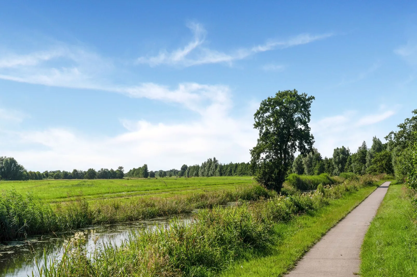 Boerderij Koatstertille-Areas summer 1km
