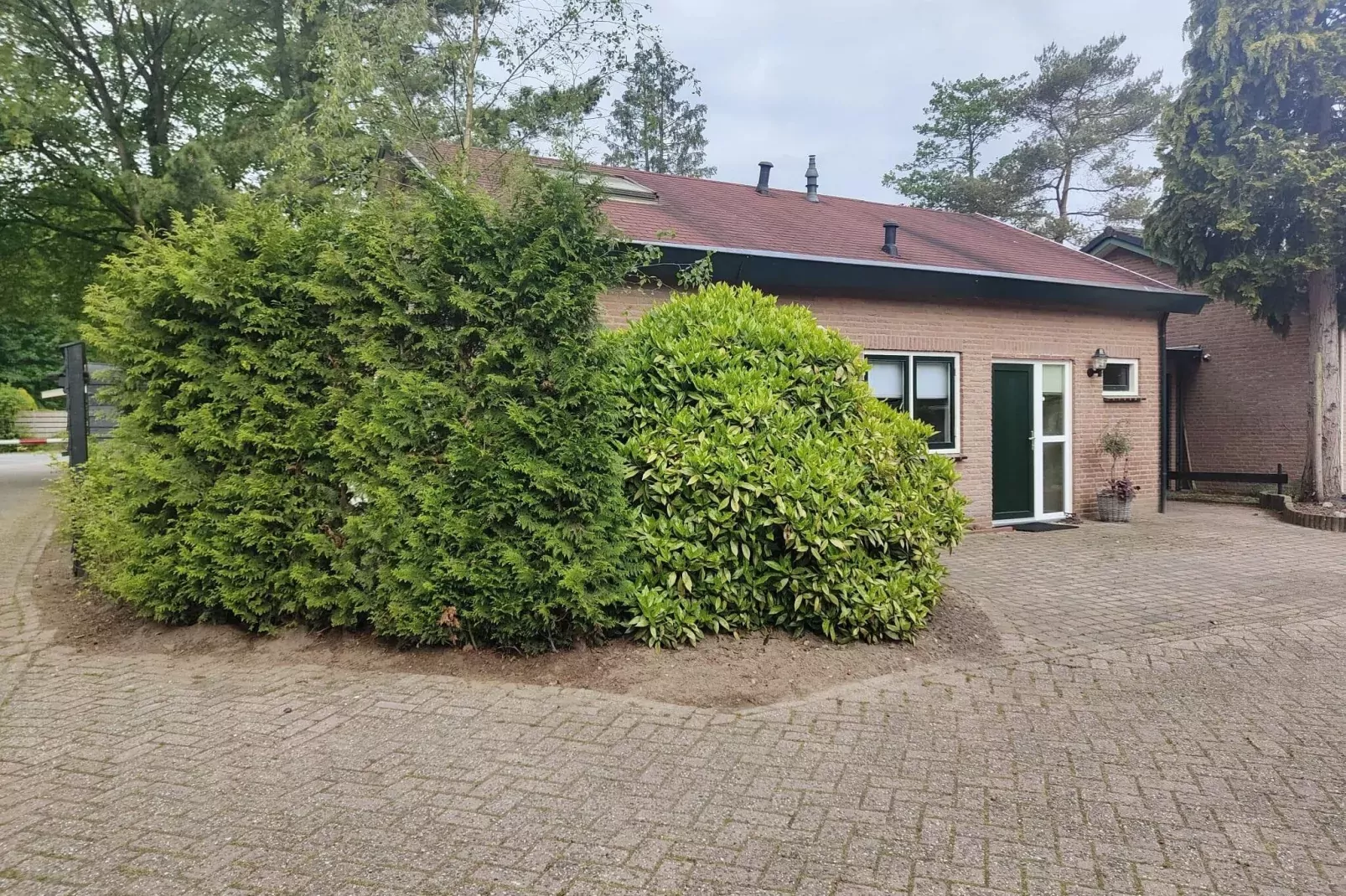 Veluwse Bosuil-Exterior summer
