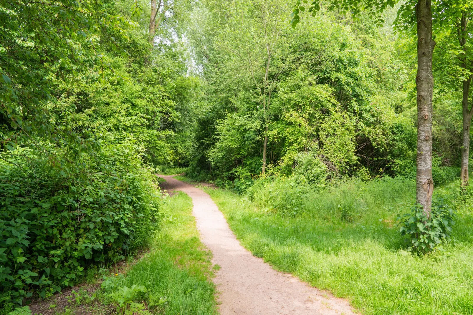 The Old Farmhouse-Areas summer 1km