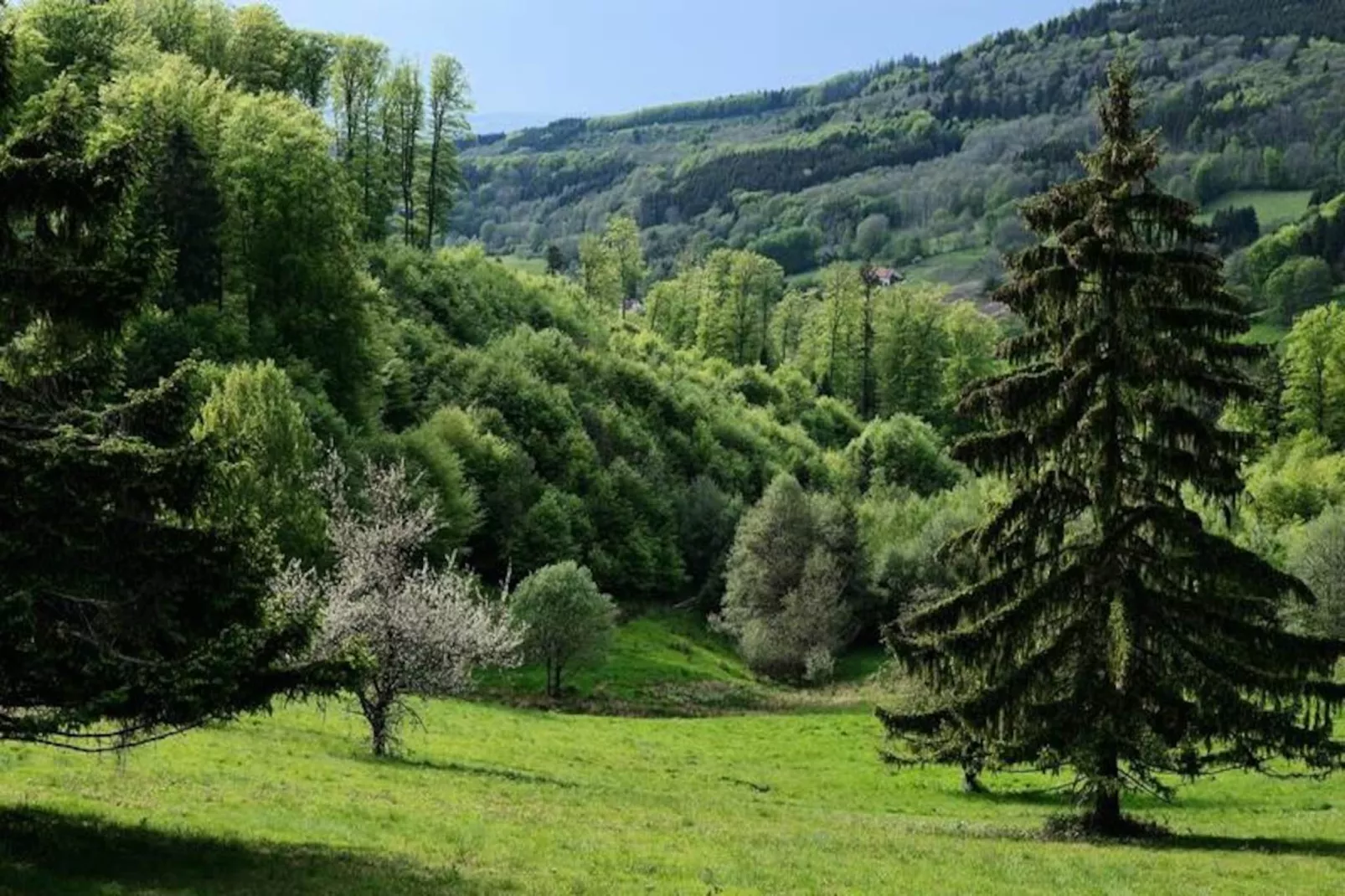 VVF Les Fontaines des Vosges ***-Image-tags.