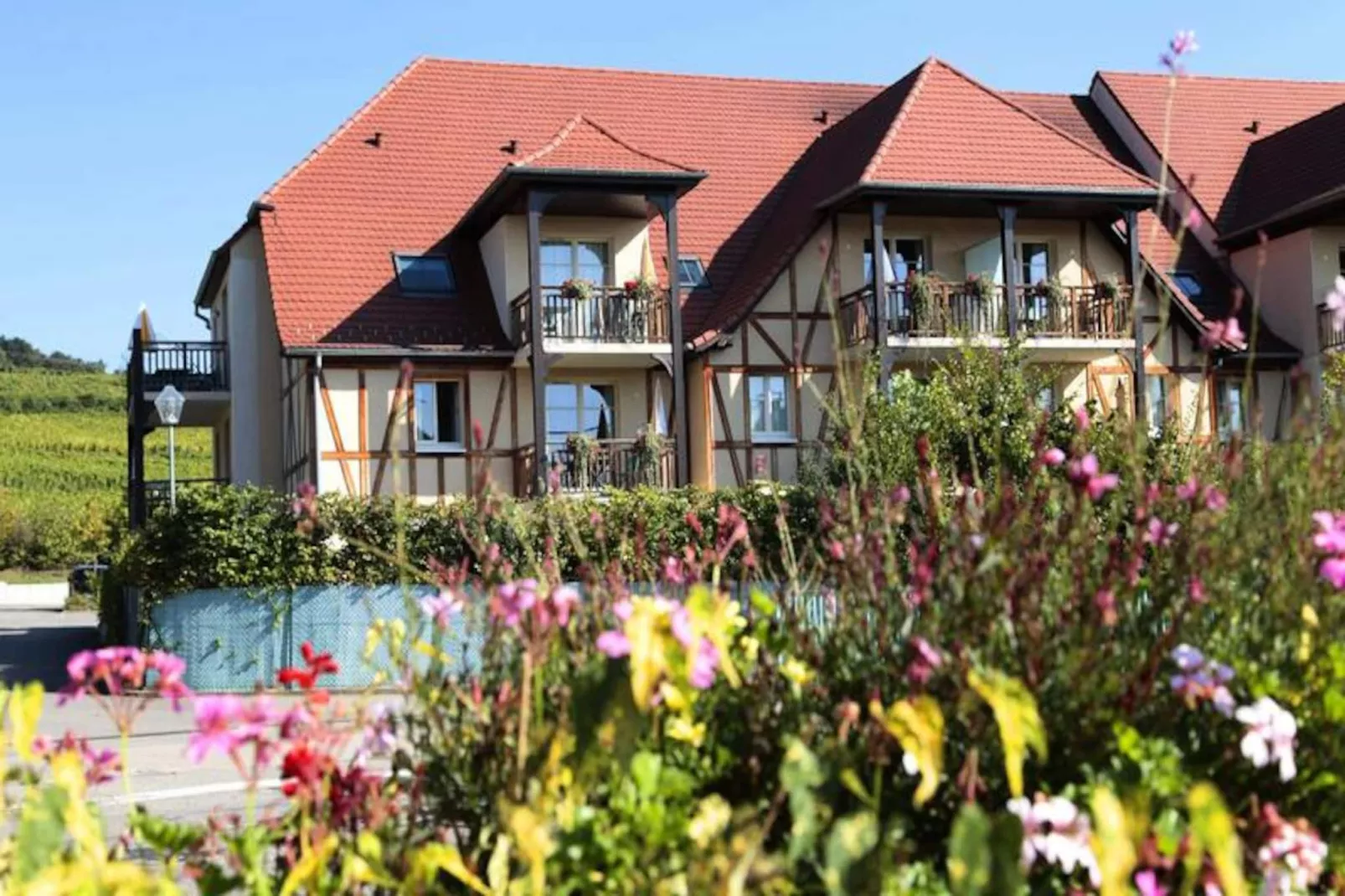 Résidence Odalys Le Domaine des Rois ***-Image-tags.