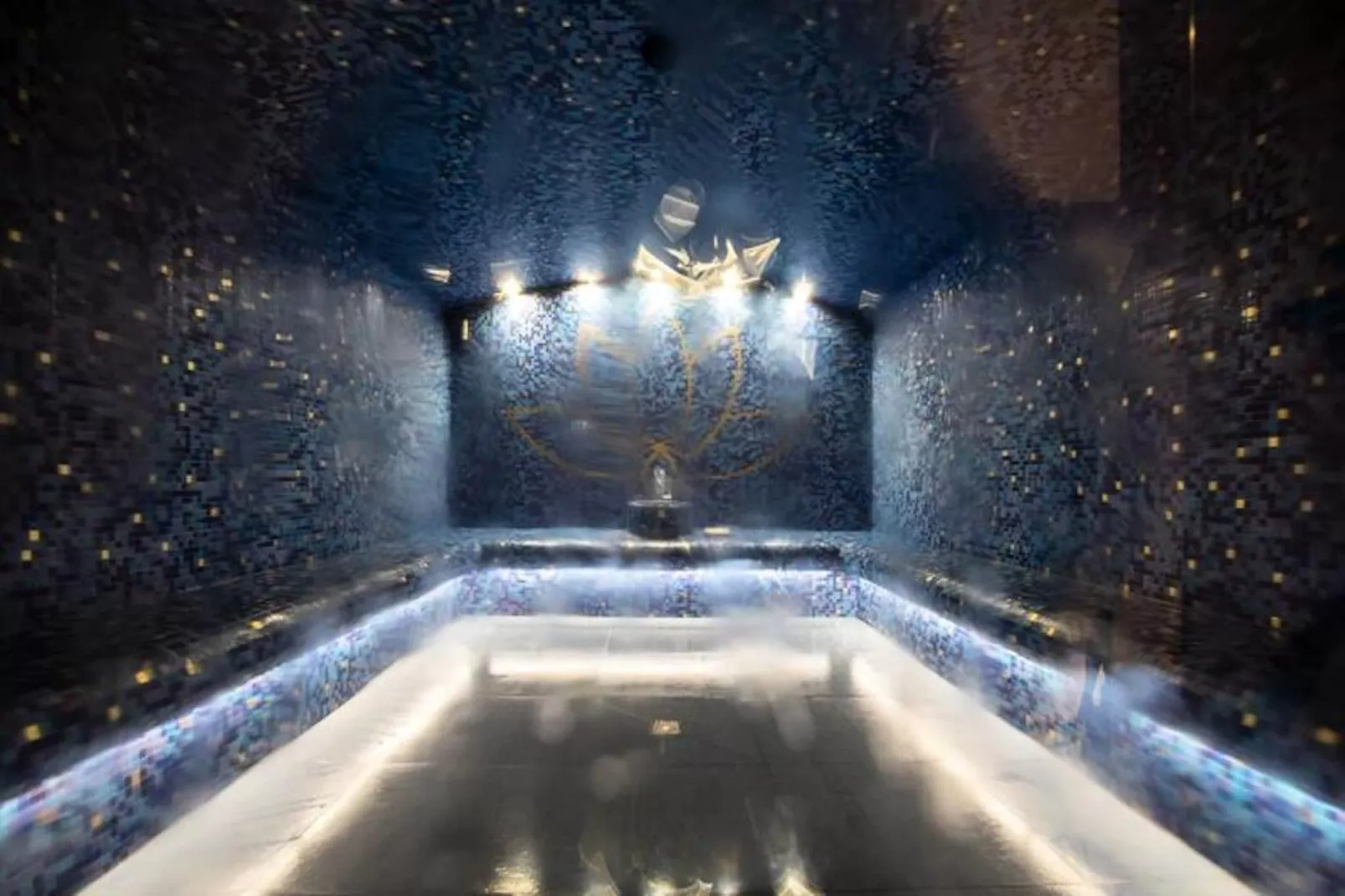 Résidence Prestige Odalys Edenarc*****