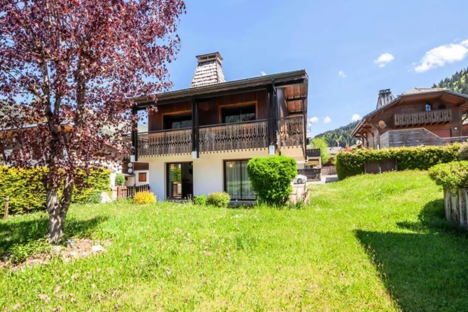 Chalet L'efanle - Extérieur été
