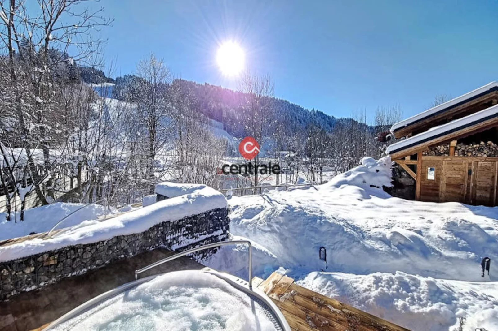 Appartements à Les Gets-Image-tags.