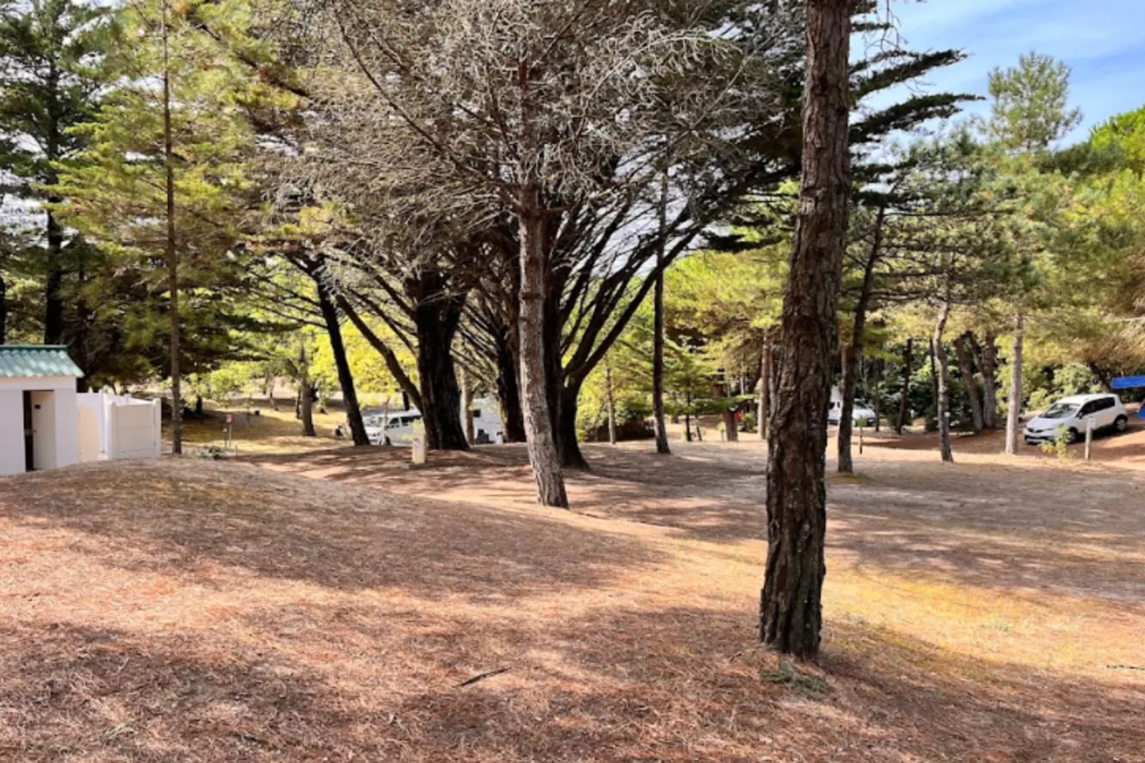 Villa Afrique Du Sud - Domaine Le Sherwood-Extérieur été