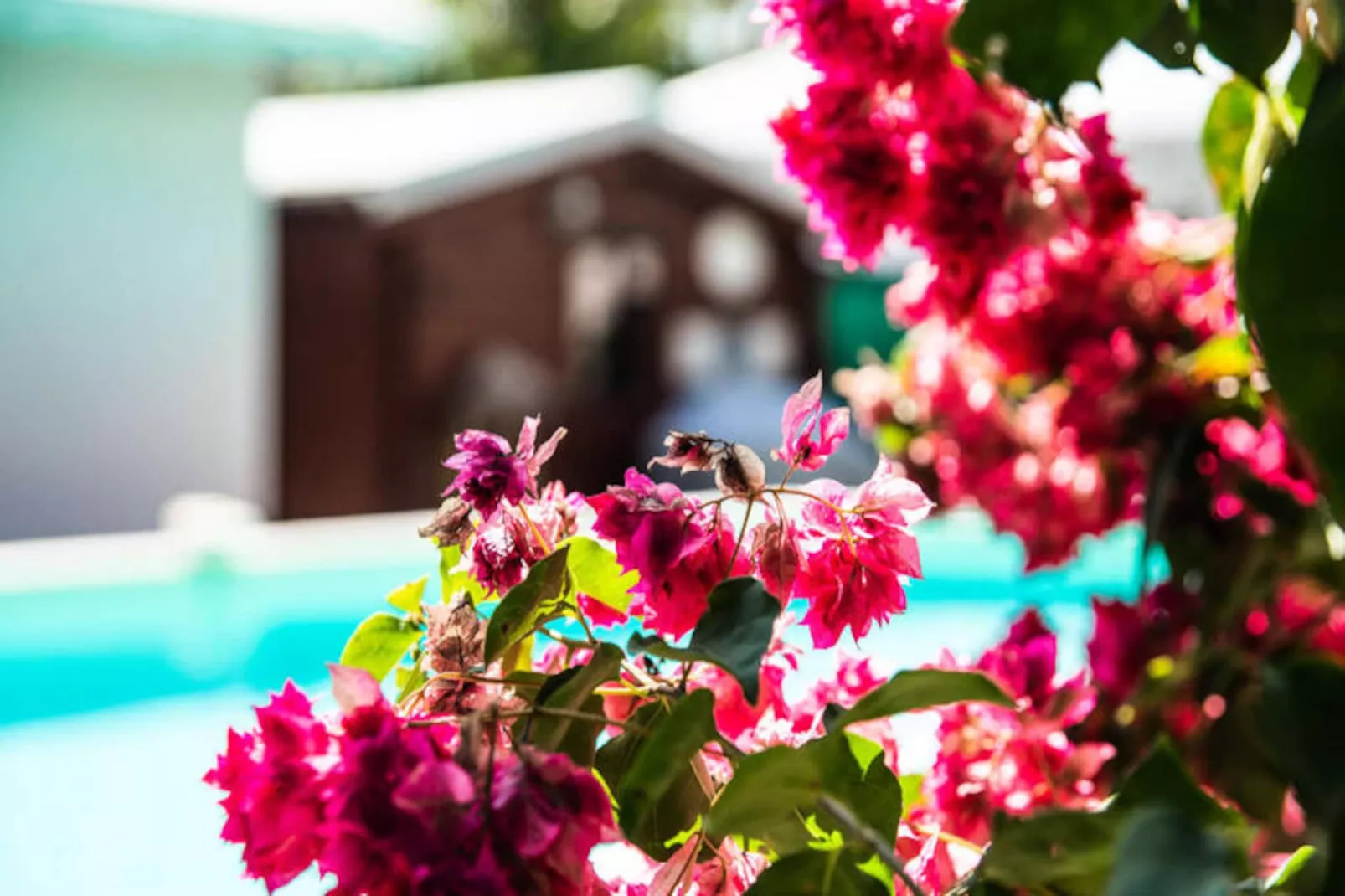 Villa La Plumeria-Image-tags.