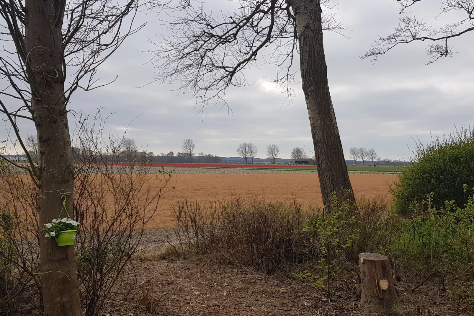 Vakantiehuis De Weide Blick-View summer