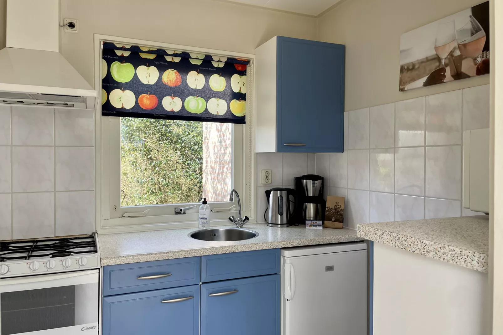 Bungalowpark Campanula 1-Kitchen