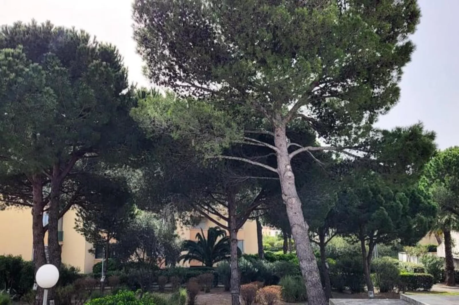 Résidence La Cigale De Mer &agrave; 100 M De La Plage Et Du Centre Ville Du Grau Du Roi-Aussicht Sommer