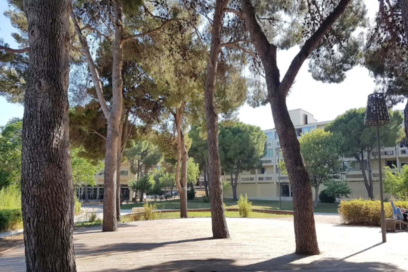 Appart'hôtel Odalys Colombélie-Park facilities