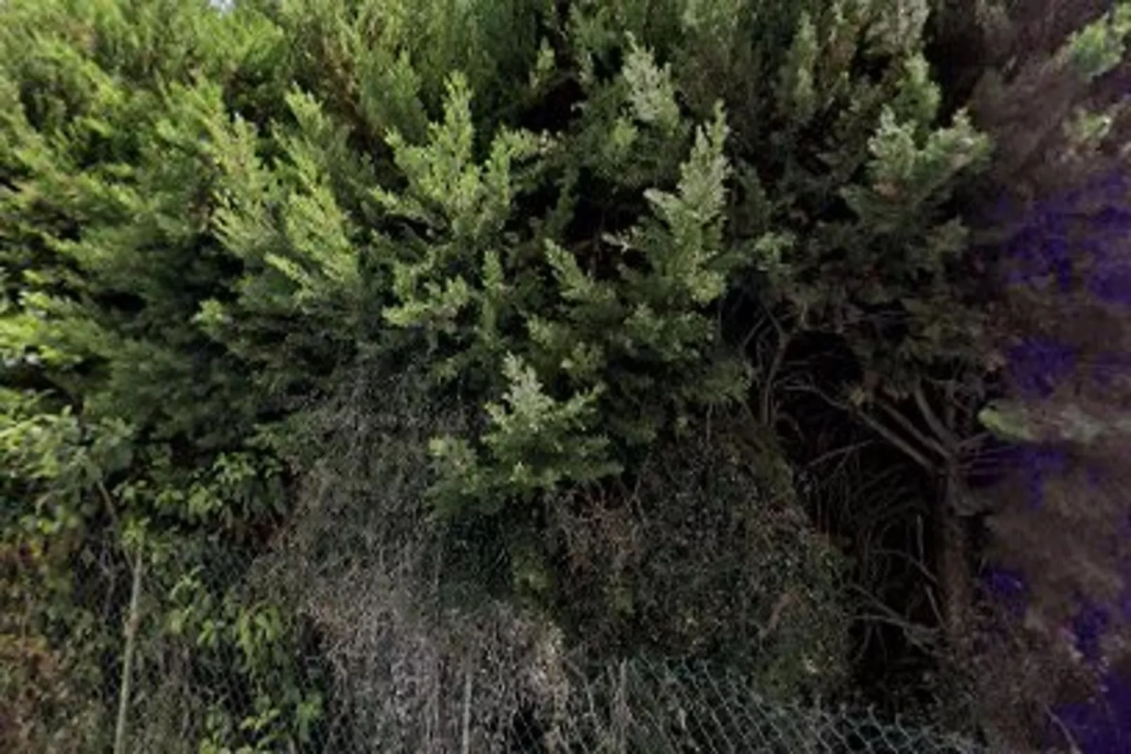 Charmant Et Rayonnant Appartement De 55 M&sup2; Situ&eacute; Dans Le Coeur De Bordeaux-Extérieur été