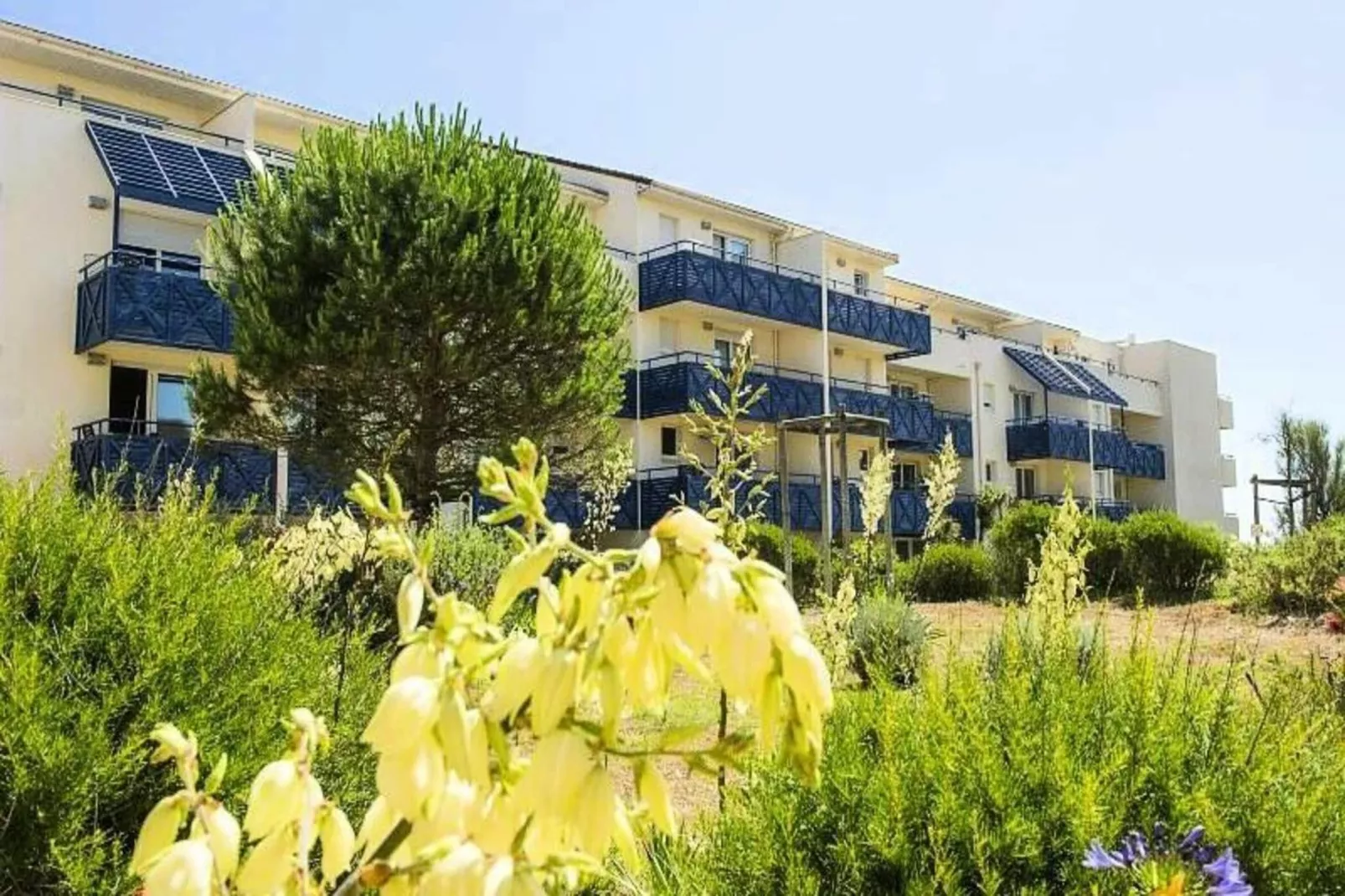 Résidence Bleu Marine - maeva Home-Exterior in summer