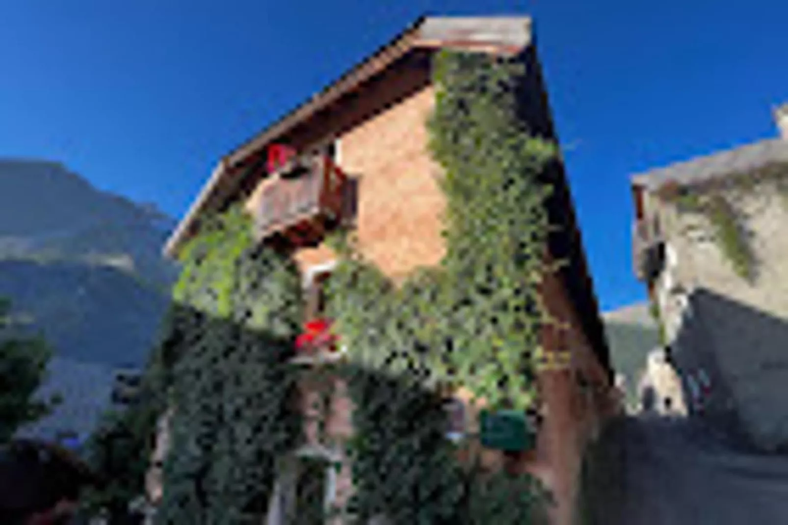 Résidence Bleuets-Extérieur été