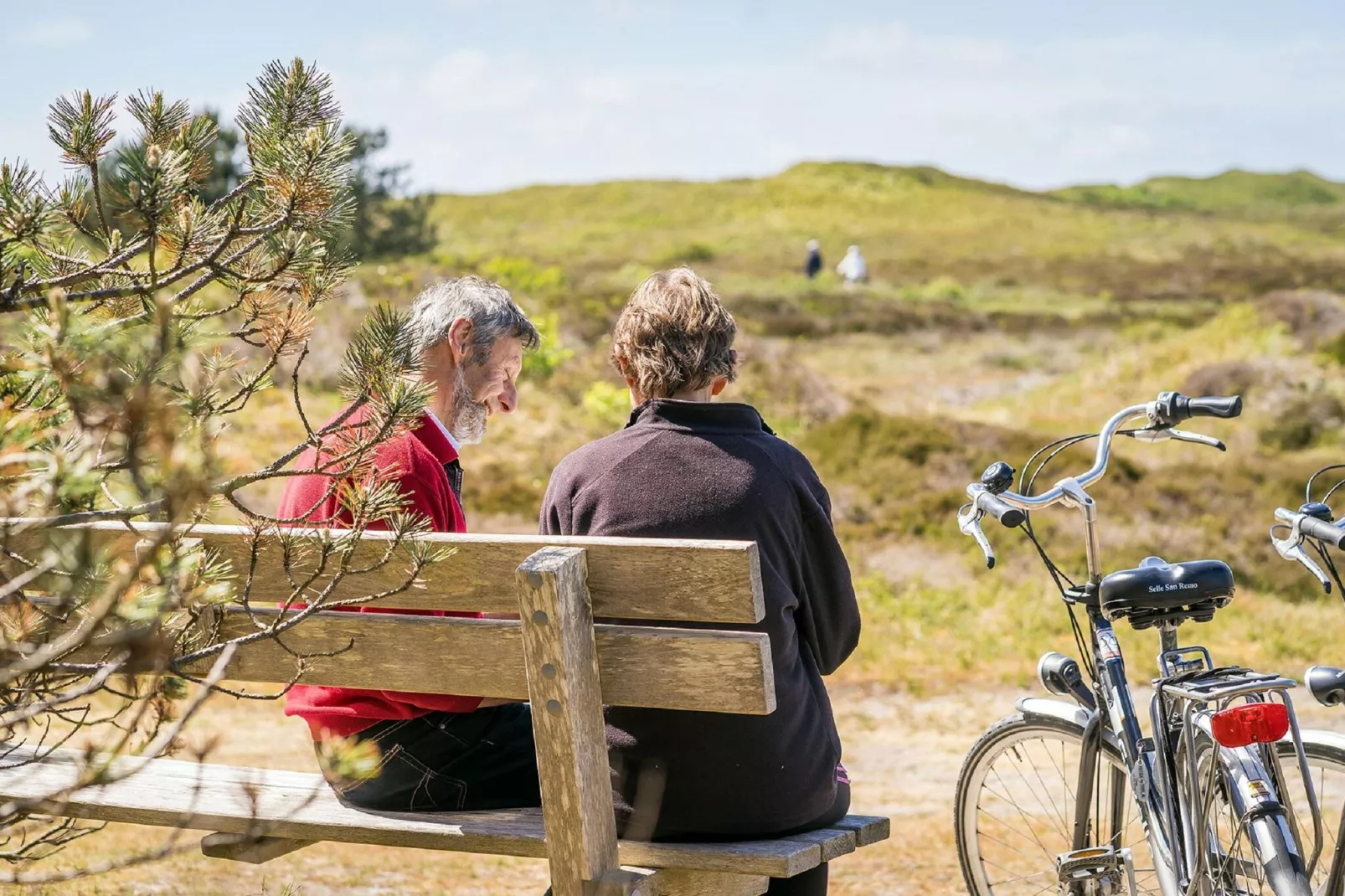 't Hoogelandt 5-Areas summer 5km
