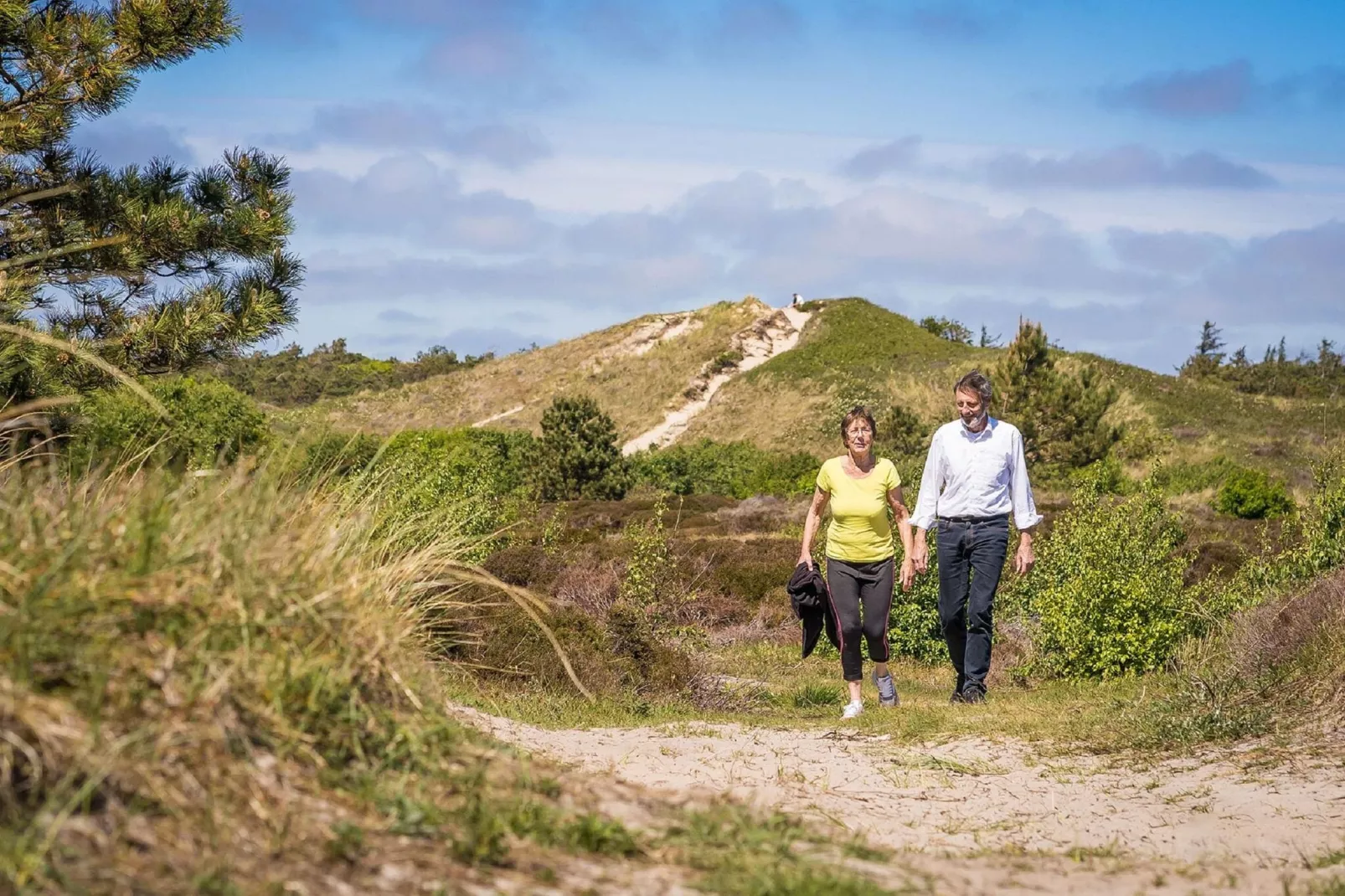 't Hoogelandt 5-Areas summer 5km