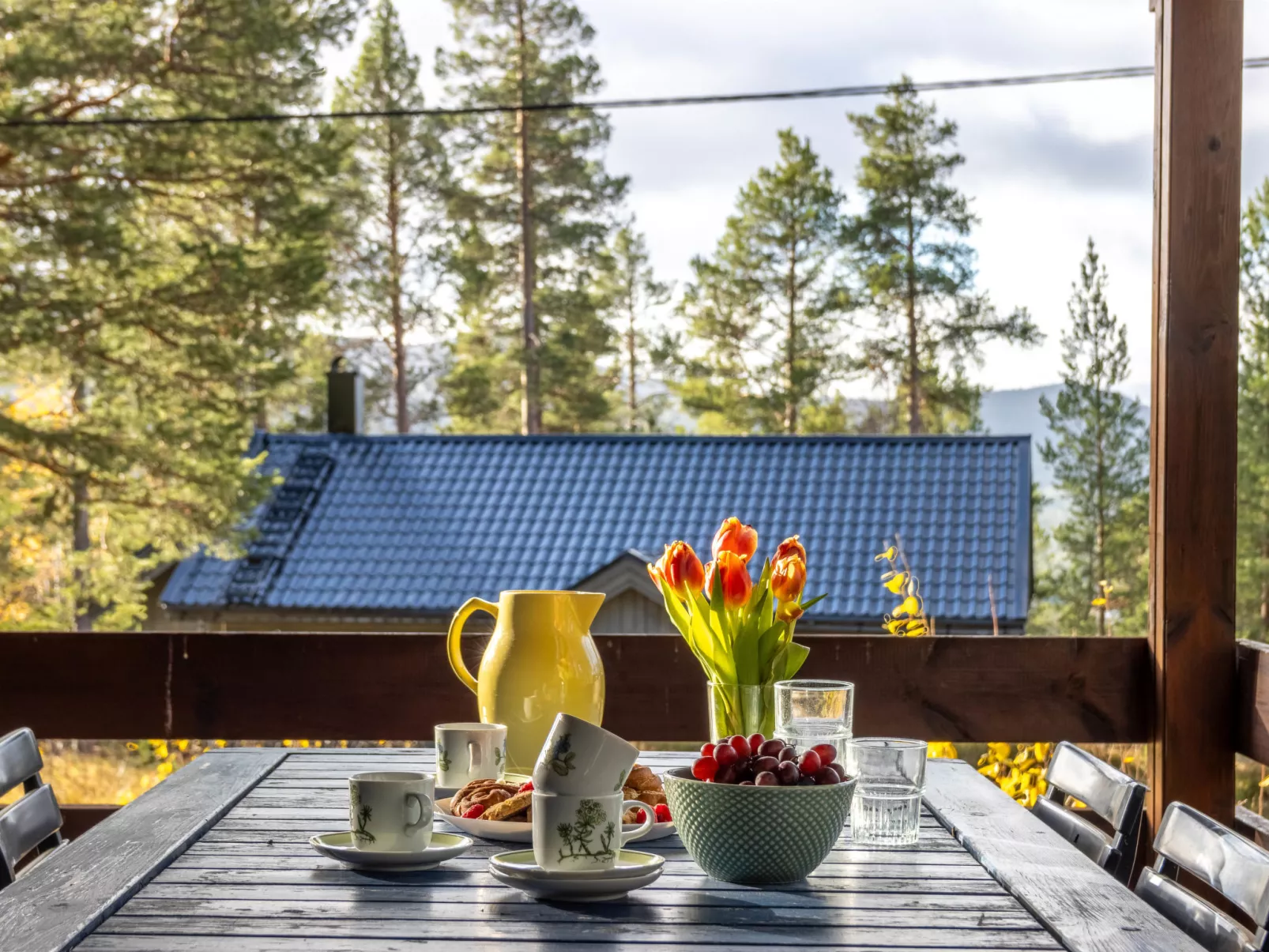 Fjällnästet-Draußen