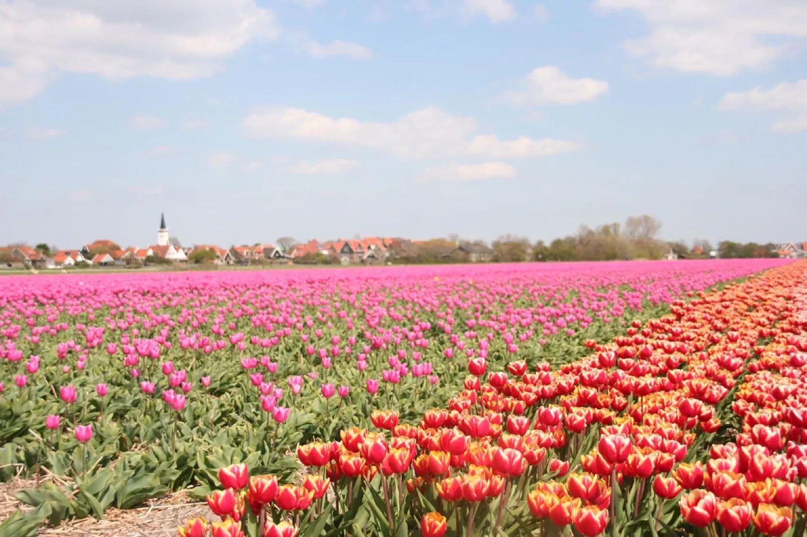 Vakantiepark Loodsmansduin 1-Gebiete Sommer 5 km