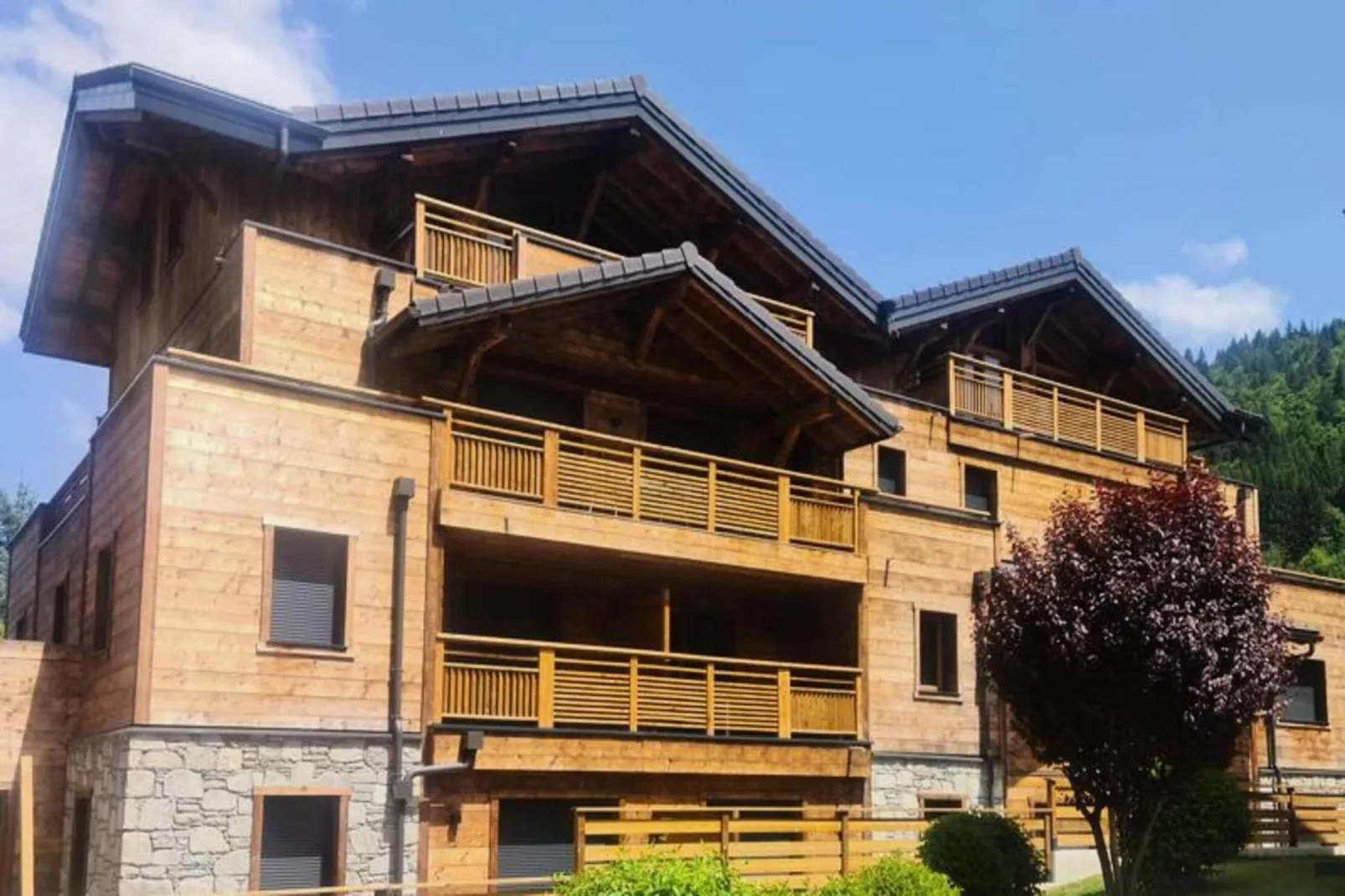 Résidence Echo Du Pleney - Außenbereich Sommer