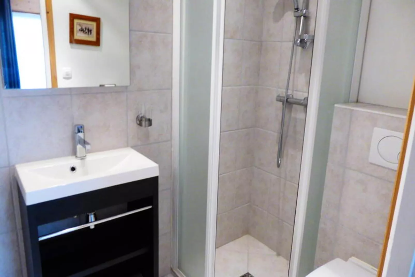 Chalet Champelet-Exterior in summer