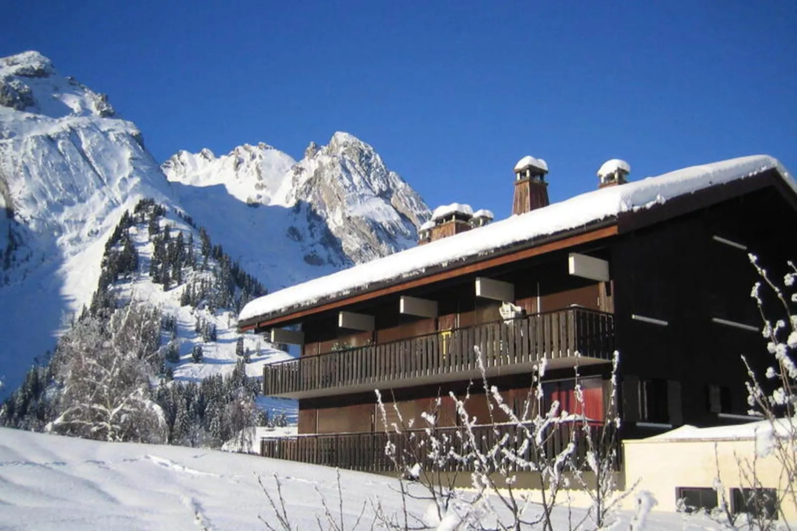 Résidence Samoyede-Extérieur hiver