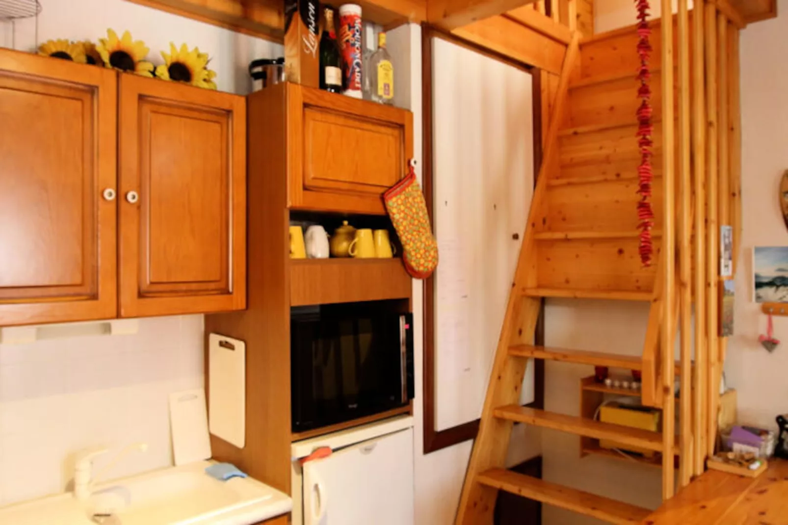 Appartements à Les Carroz-d'Arâches-Image-tags.