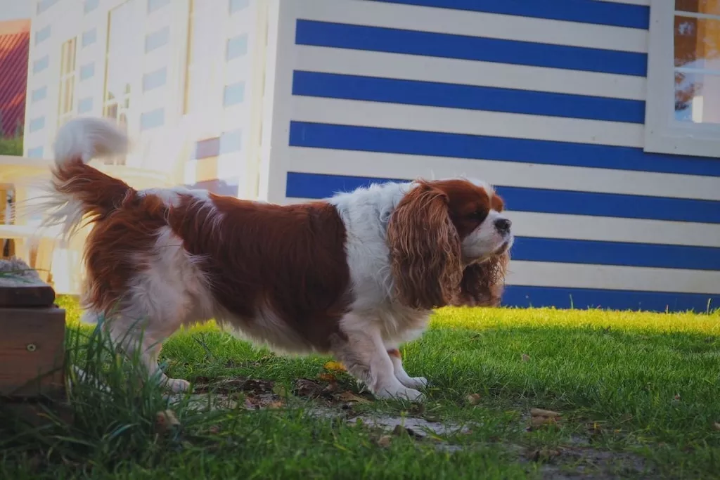 241000-Nicht zugeordnet