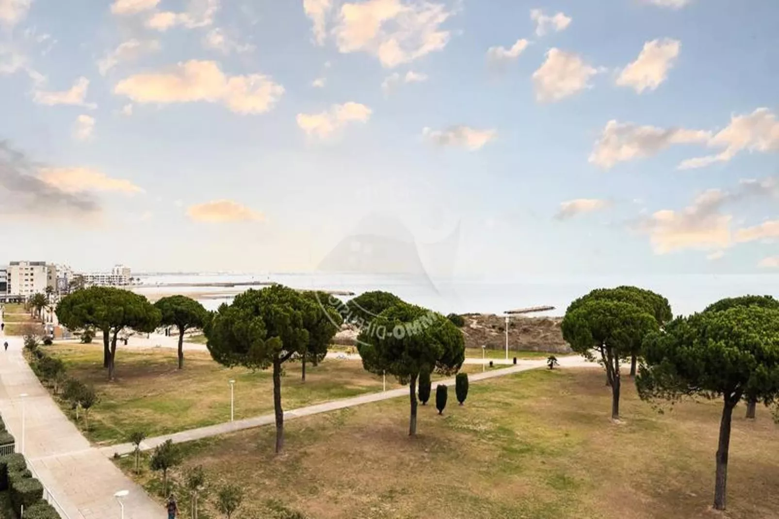 Résidence "le Frédéric Mistral"-Jardins en été