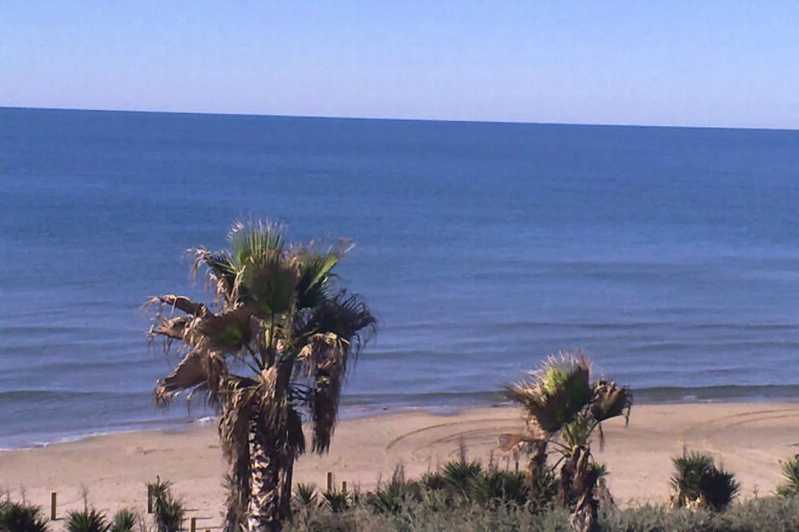 Résidence NATURISTE LA PALMERAIE-Areas within 1km in summer