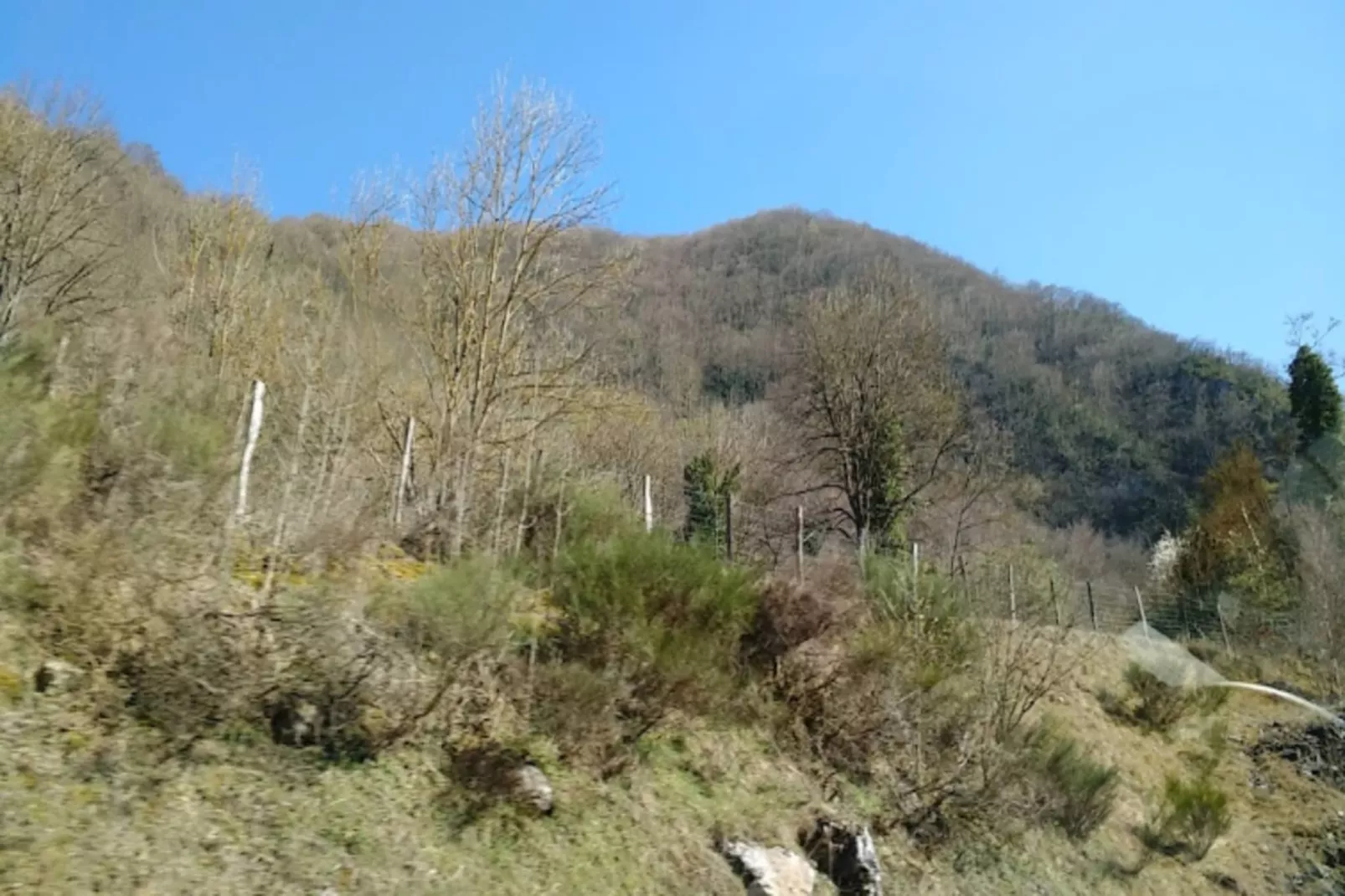 Résidence Eugenie-Areas within 1km in summer