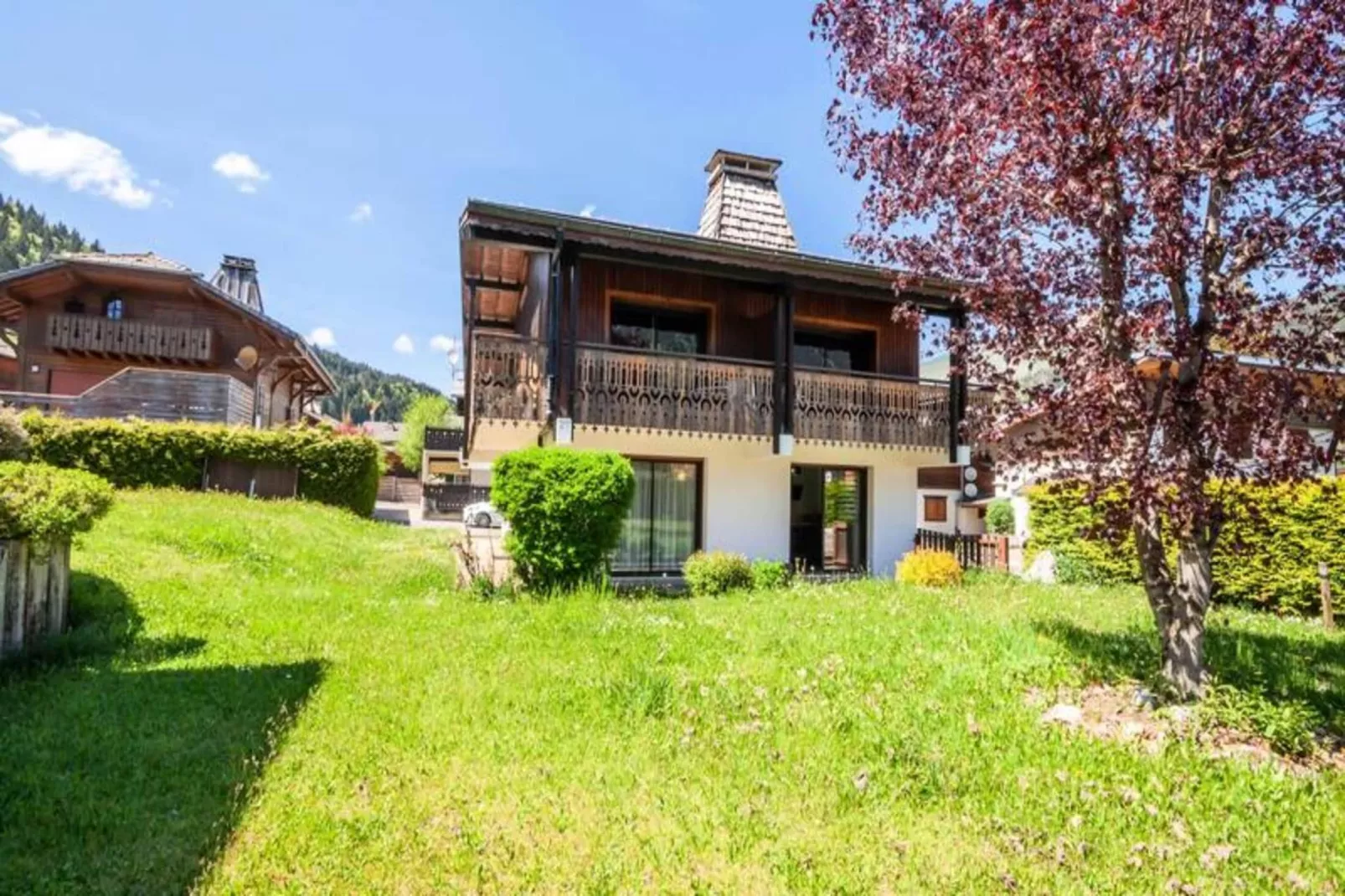 Chalet L'efanle - Extérieur été