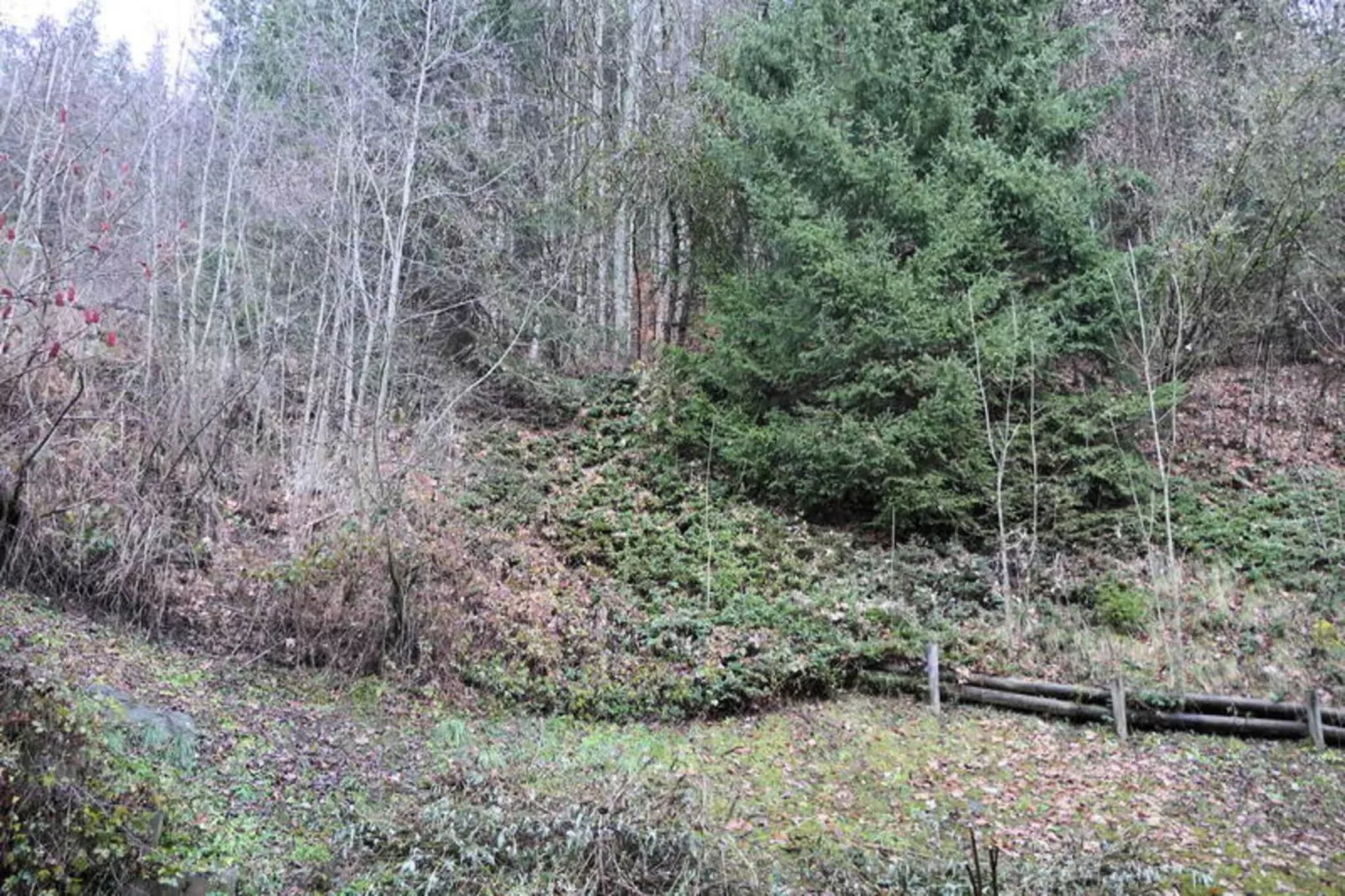 Les Chalet Du Soleil-Exterior in summer