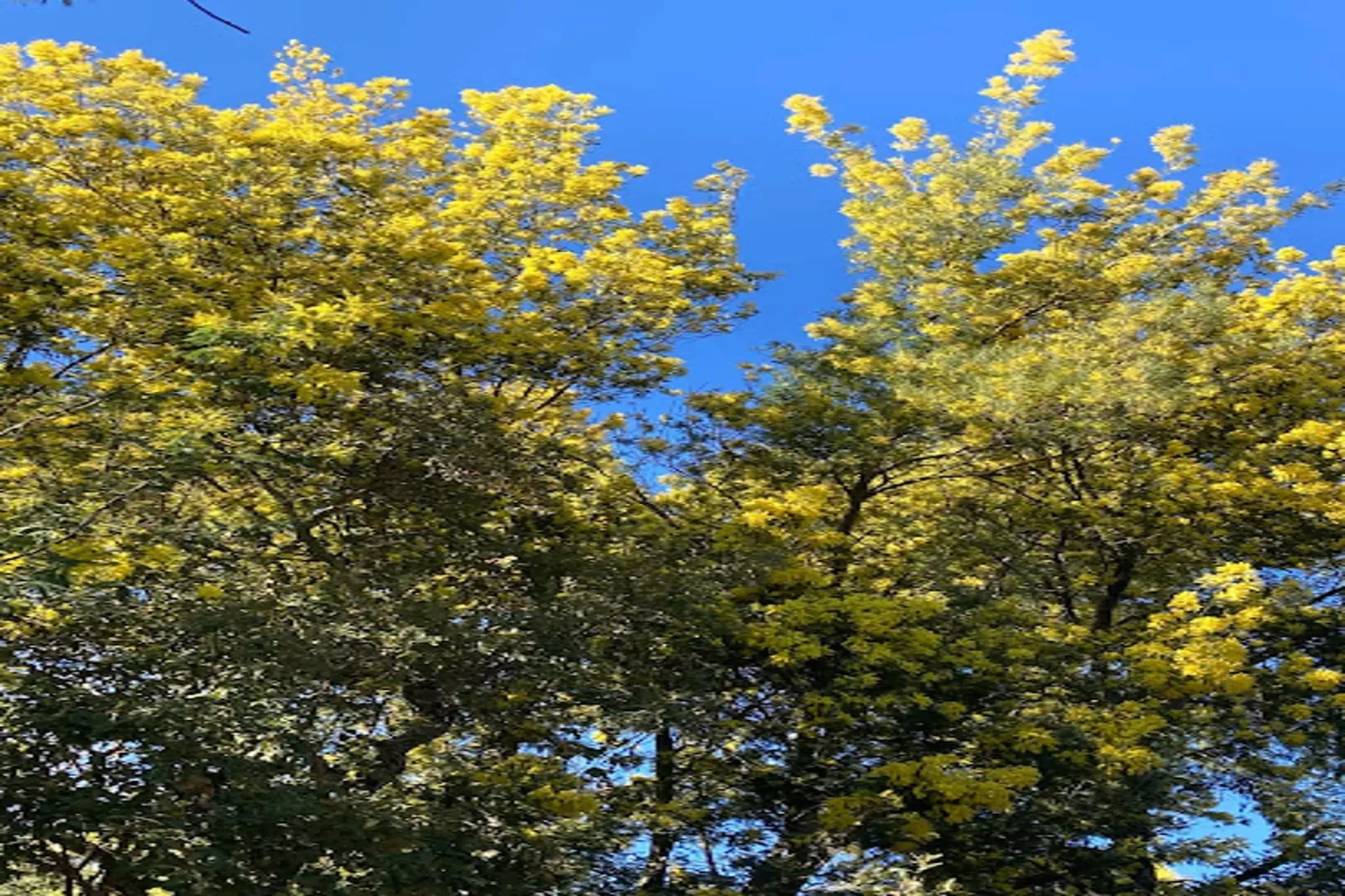 Résidence Vieille Ville-Gebiete Sommer 1 km