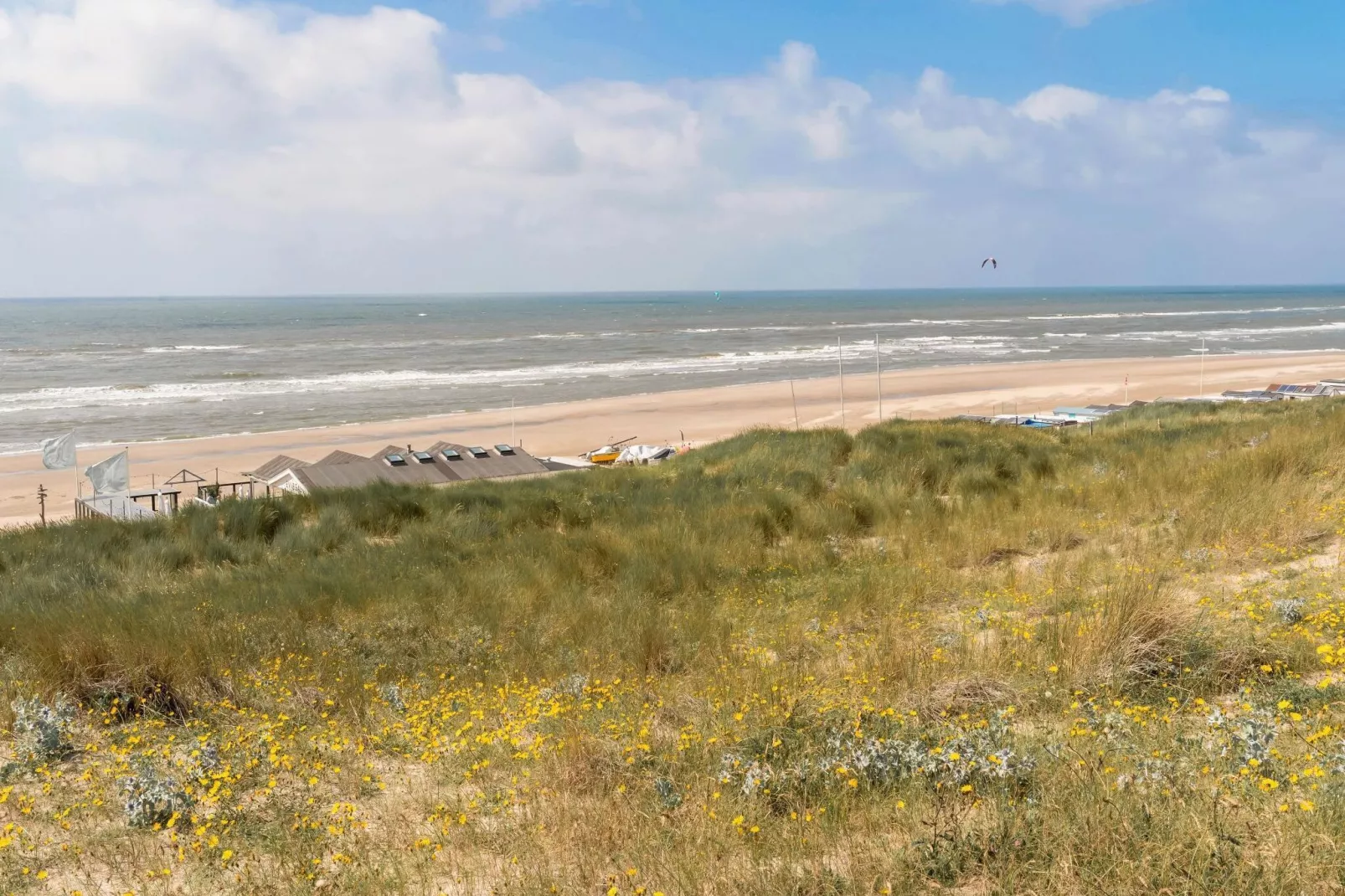 Helmgras I-Areas summer 1km