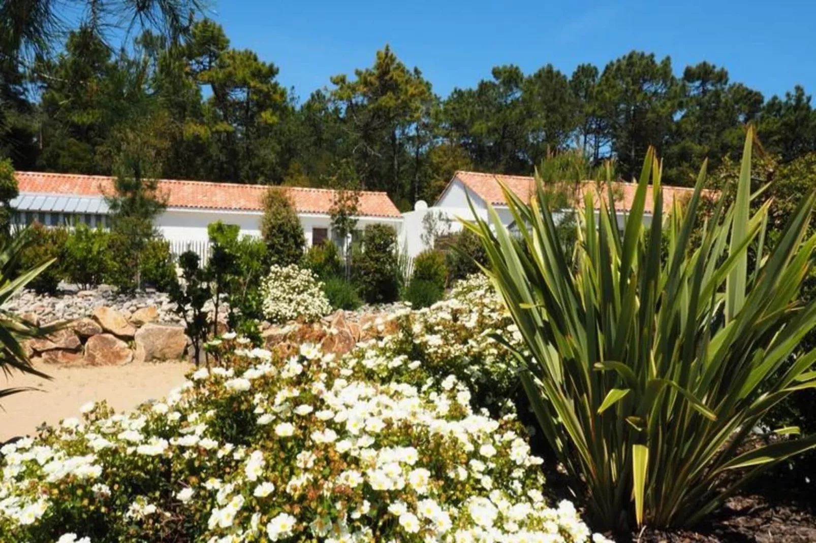 Villa Br&eacute;sil - Domaine Le Sherwood-Exterior in summer