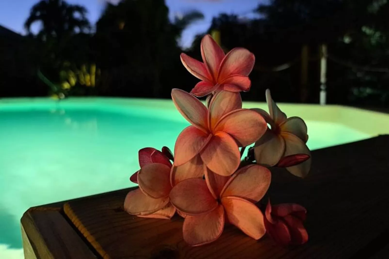 Villa La Plumeria-Image-tags.