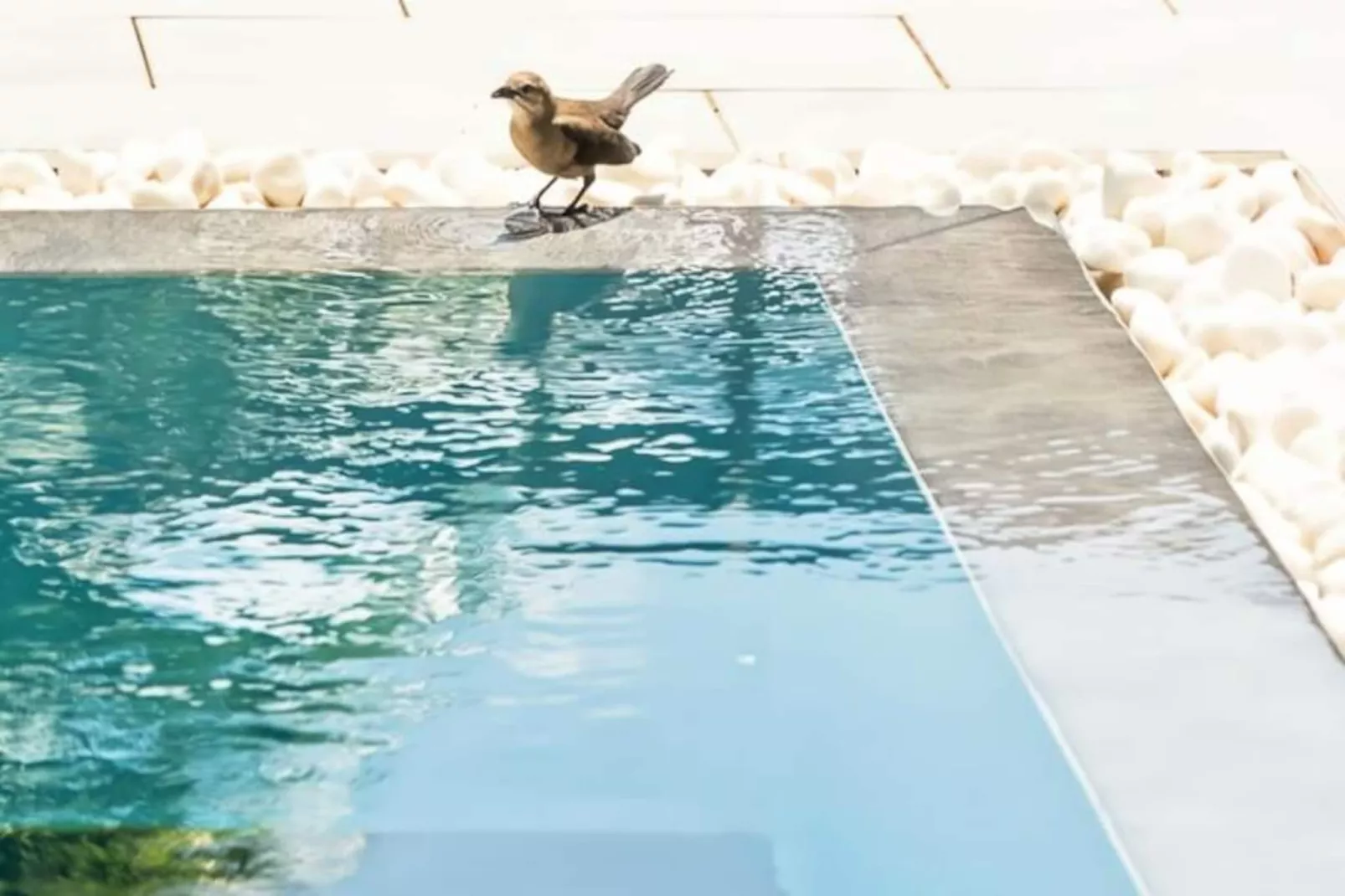 Villa Daminou-Image-tags.