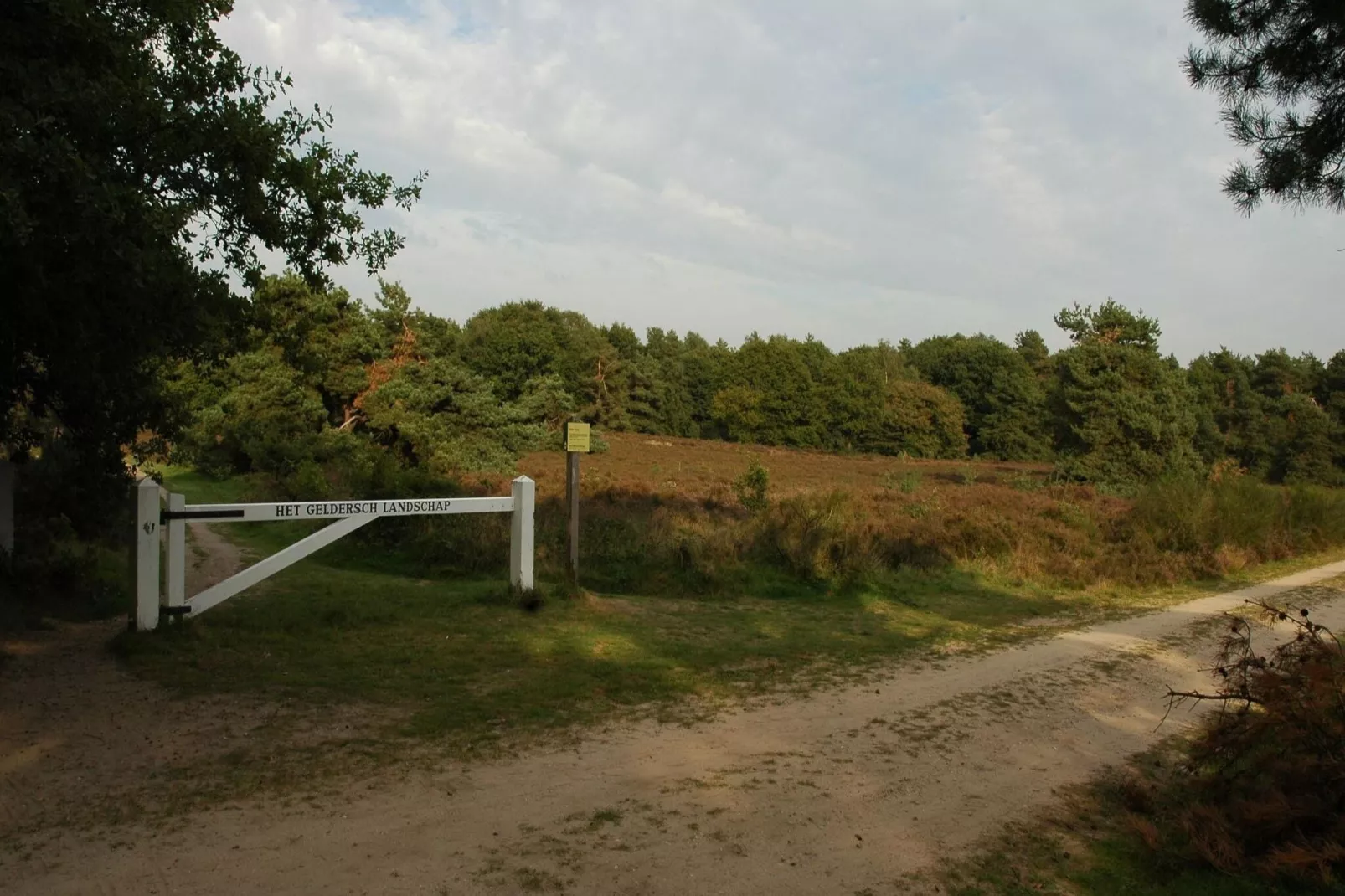 Genieten in Voorthuizen-Areas summer 5km