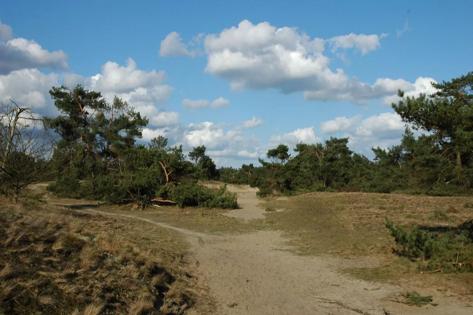 Genieten in Voorthuizen-Areas summer 20km