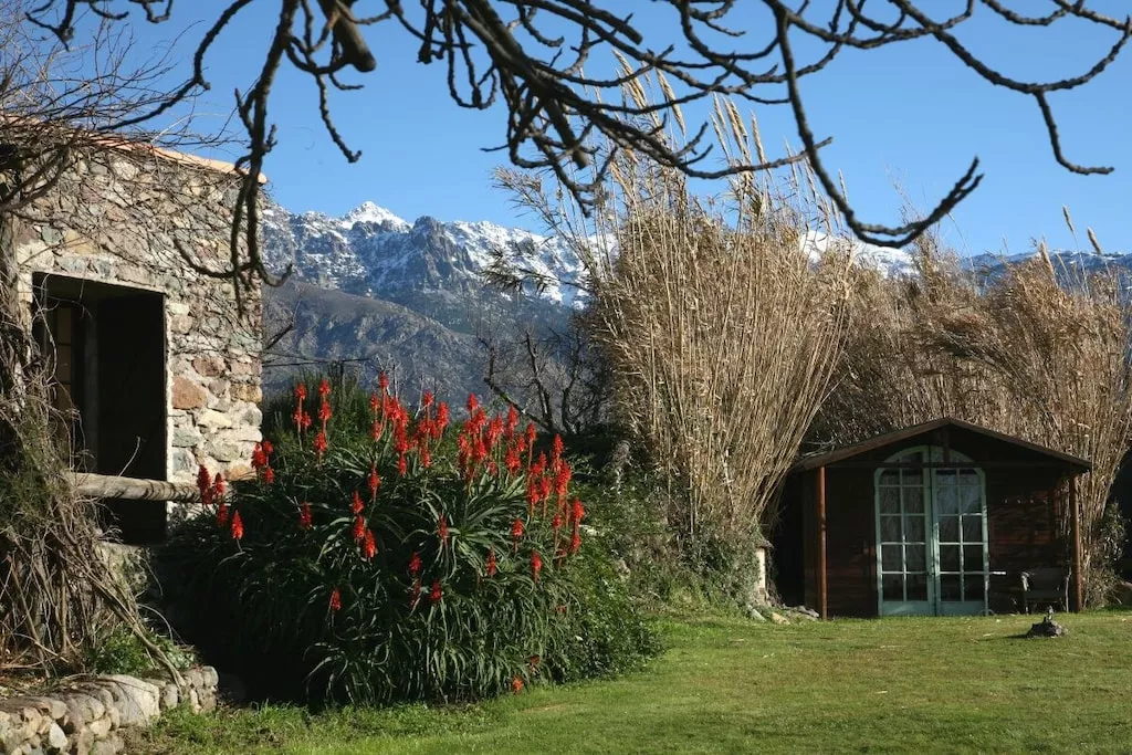 48892-Nicht zugeordnet