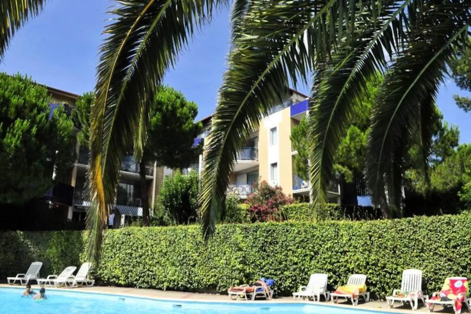 Résidence Goélia Arcadius-Image-tags.