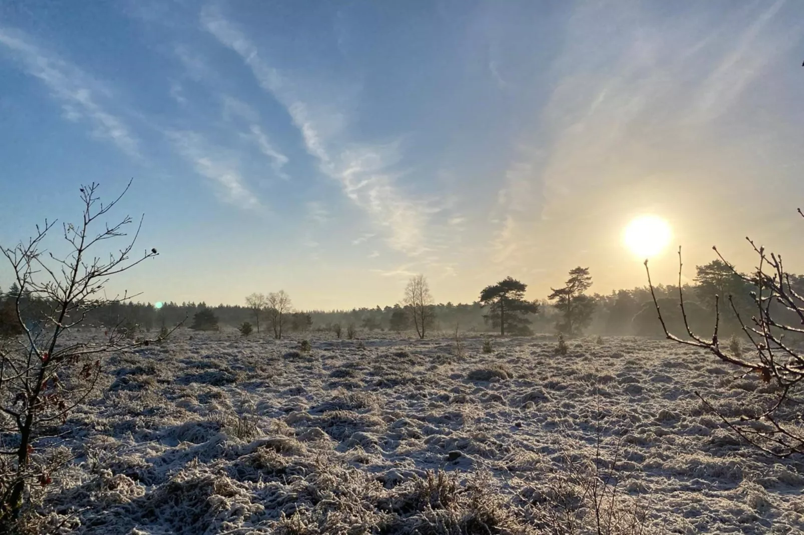 Koperwiek-Area winter 1km