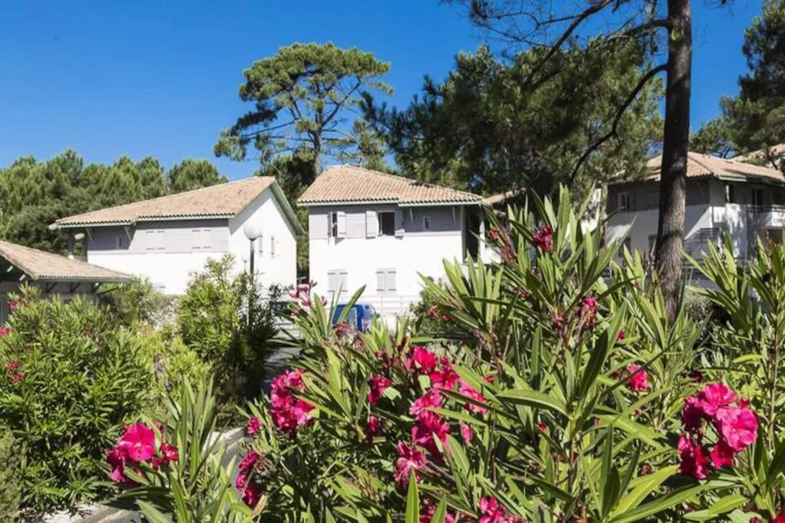 Résidence Odalys Bleu Océan ***-Image-tags.