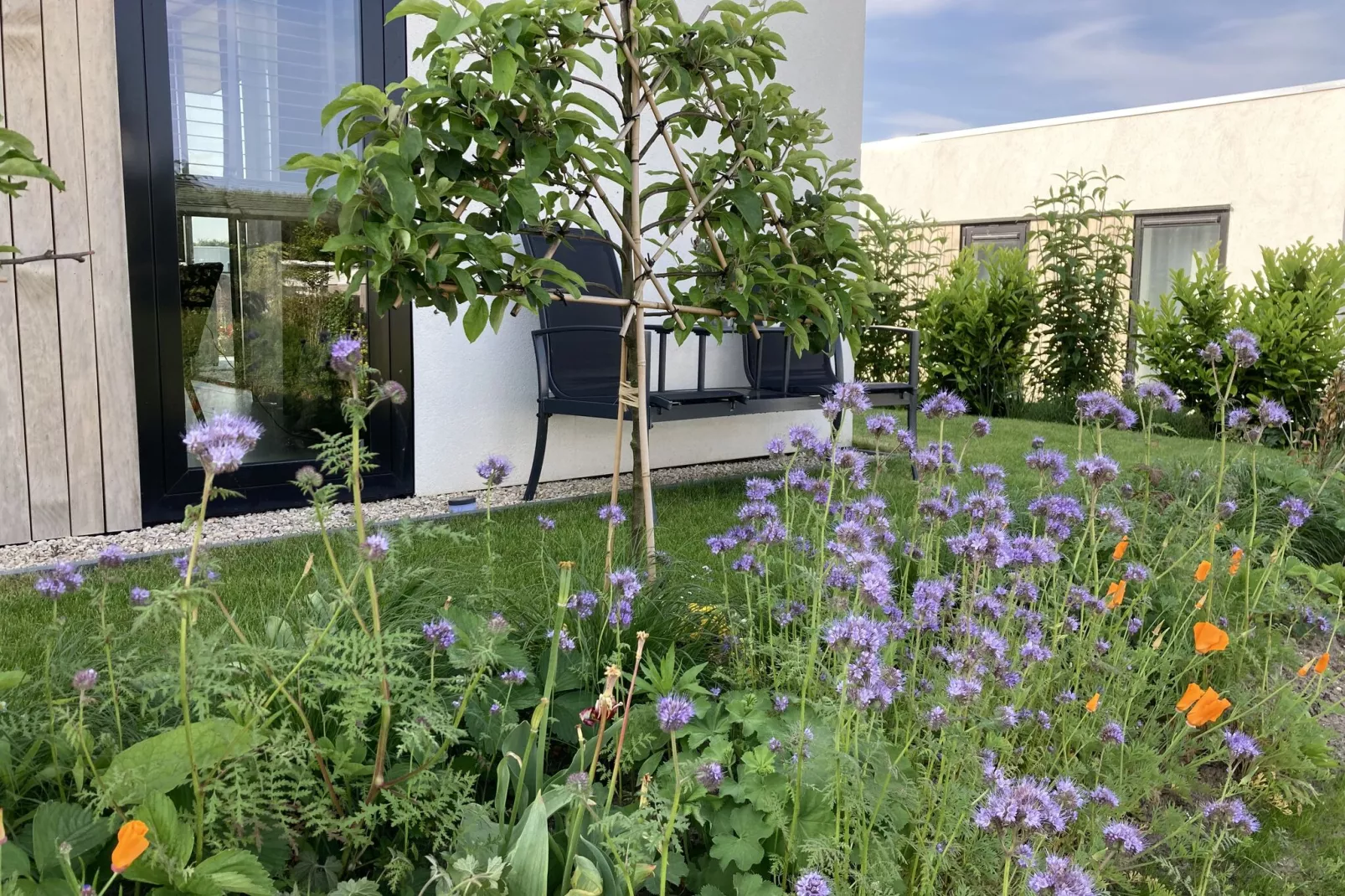 Huisje Snoek 412-Gardens summer