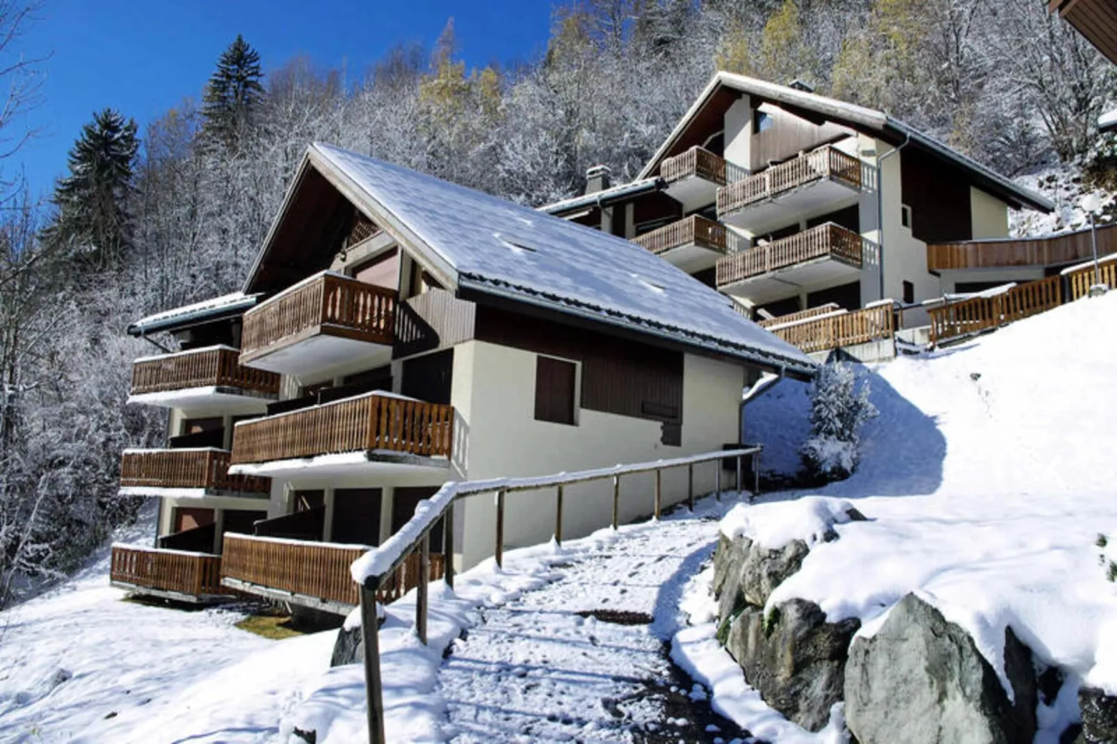 Résidence Dryades - Les Hauts De Planchamp-Exterior in winter