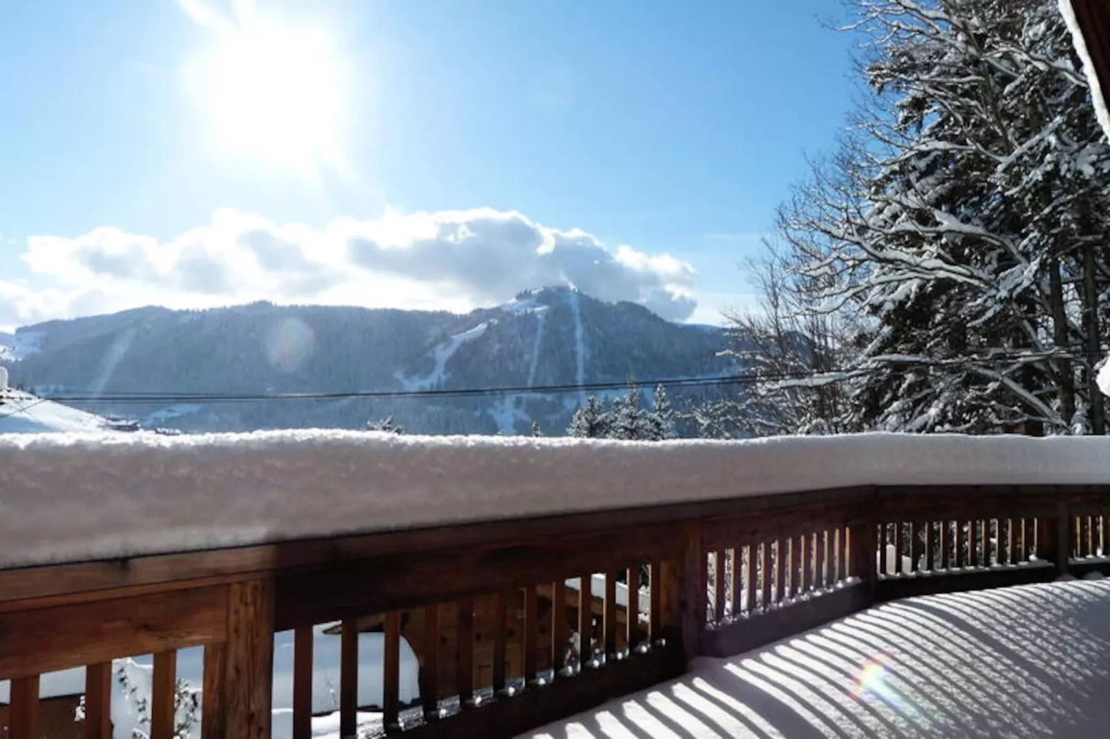 Résidence Rosebud-Image-tags.