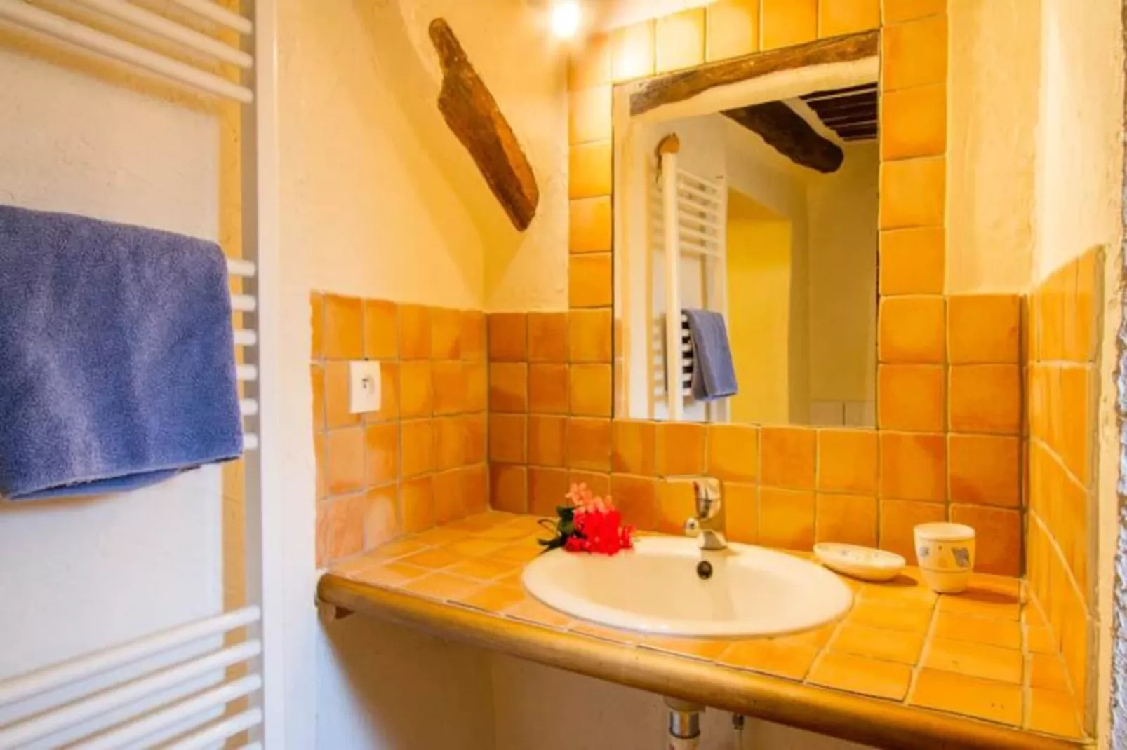 Les Messugues, Mas Proven&ccedil;al Typique Avec Piscine Partag&eacute;e, Nature, Calme-Image-tags.