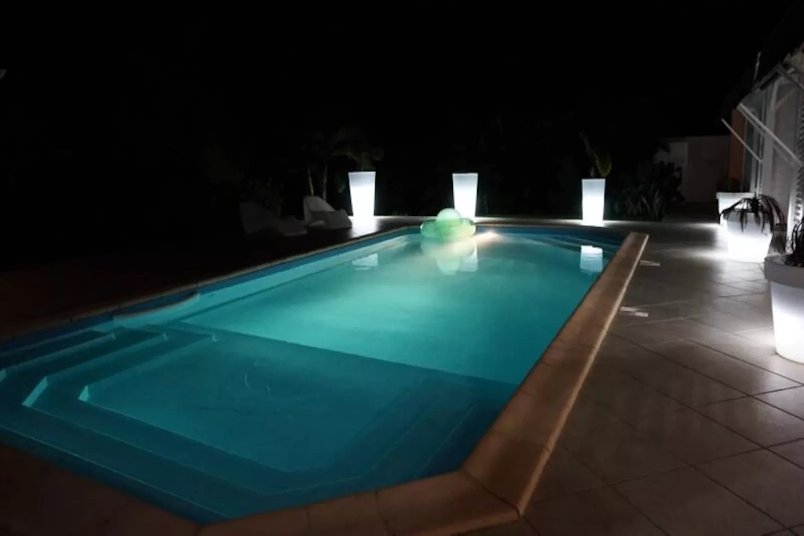 Villa Arbre Du Voyageur-Image-tags.