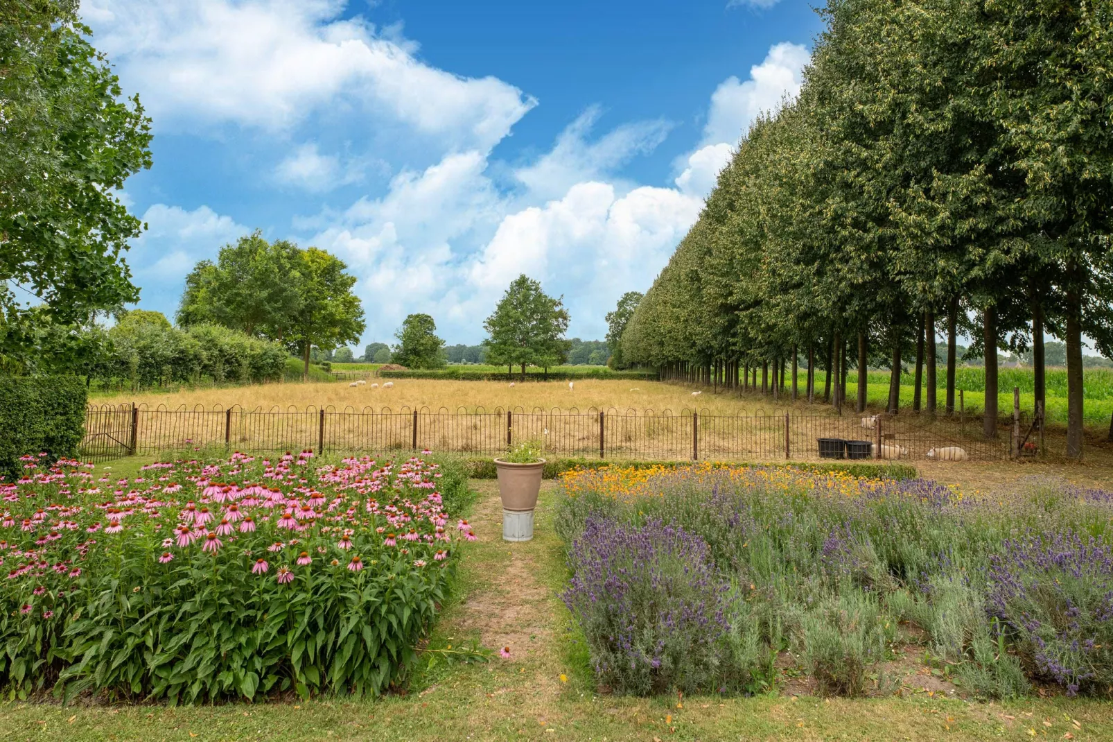 Koetshuis 't Geyn-Landgoed Noordenhoek-View summer