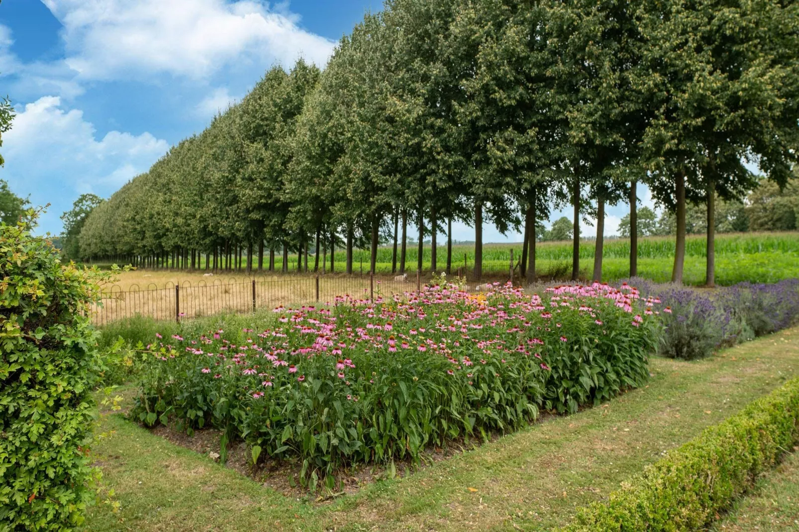 Koetshuis 't Geyn-Landgoed Noordenhoek-Areas summer 1km