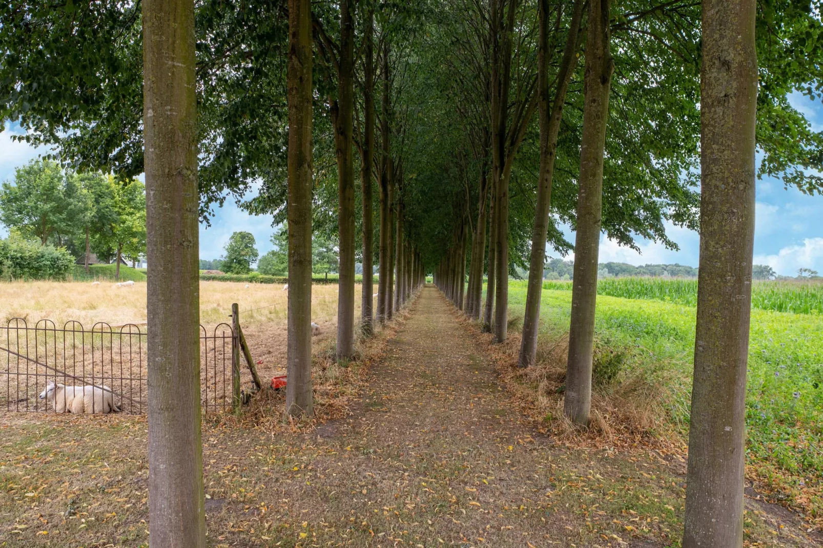 Koetshuis 't Geyn-Landgoed Noordenhoek-Areas summer 1km